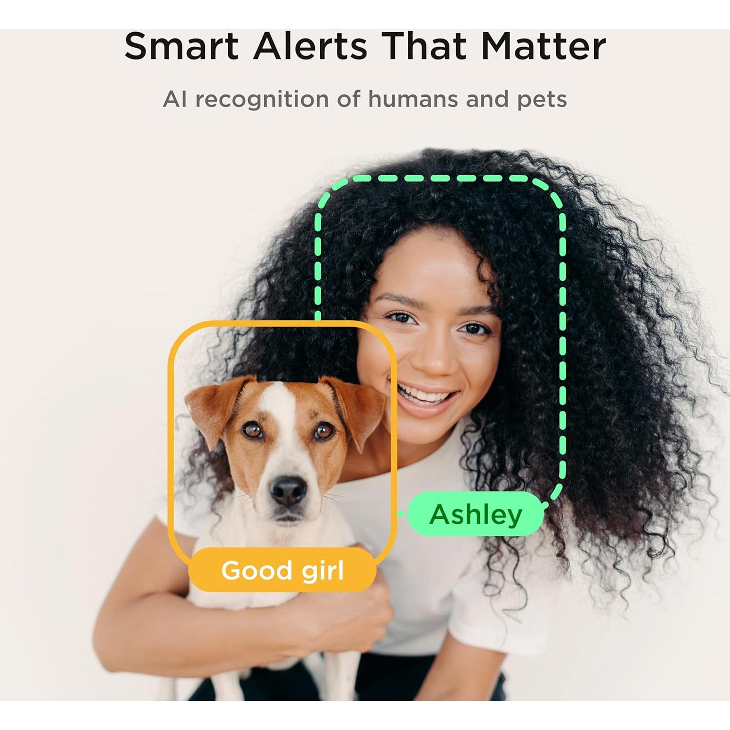 Cámara Petcube Bites 2 Lite con Dispensador de Golosinas HD 1080p