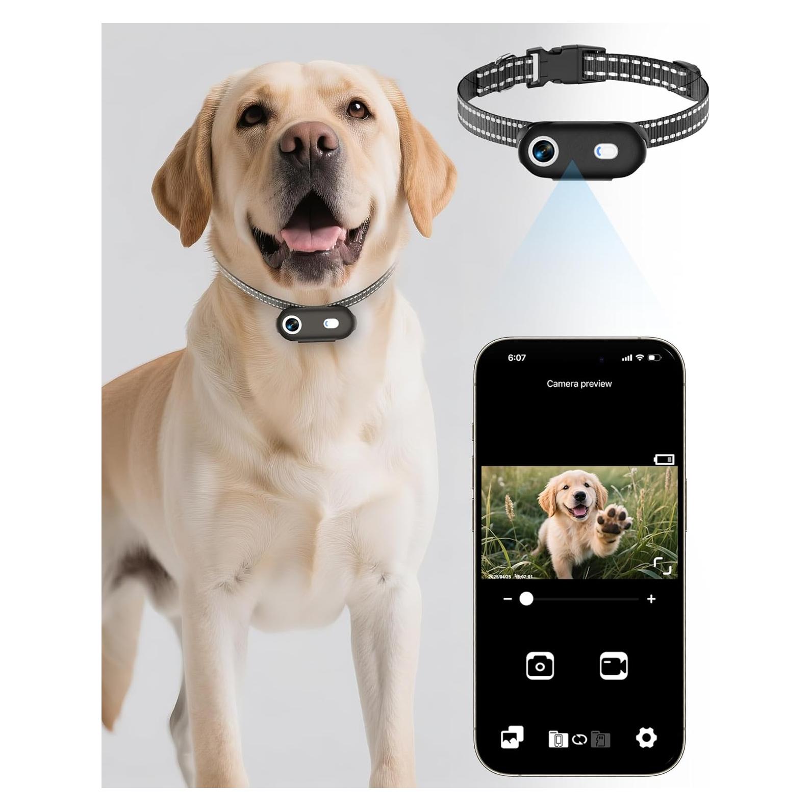 Collar de Cámara para Mascotas H88 - Grabación HD 1080P