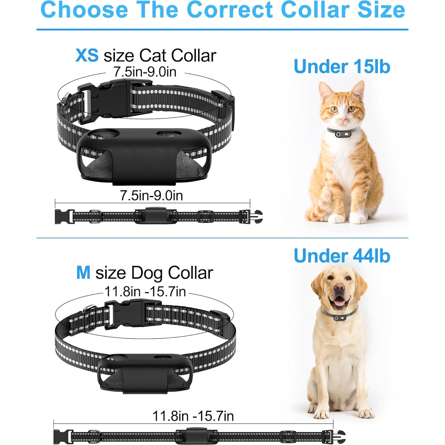 Collar de Cámara para Mascotas H88 - Grabación HD 1080P