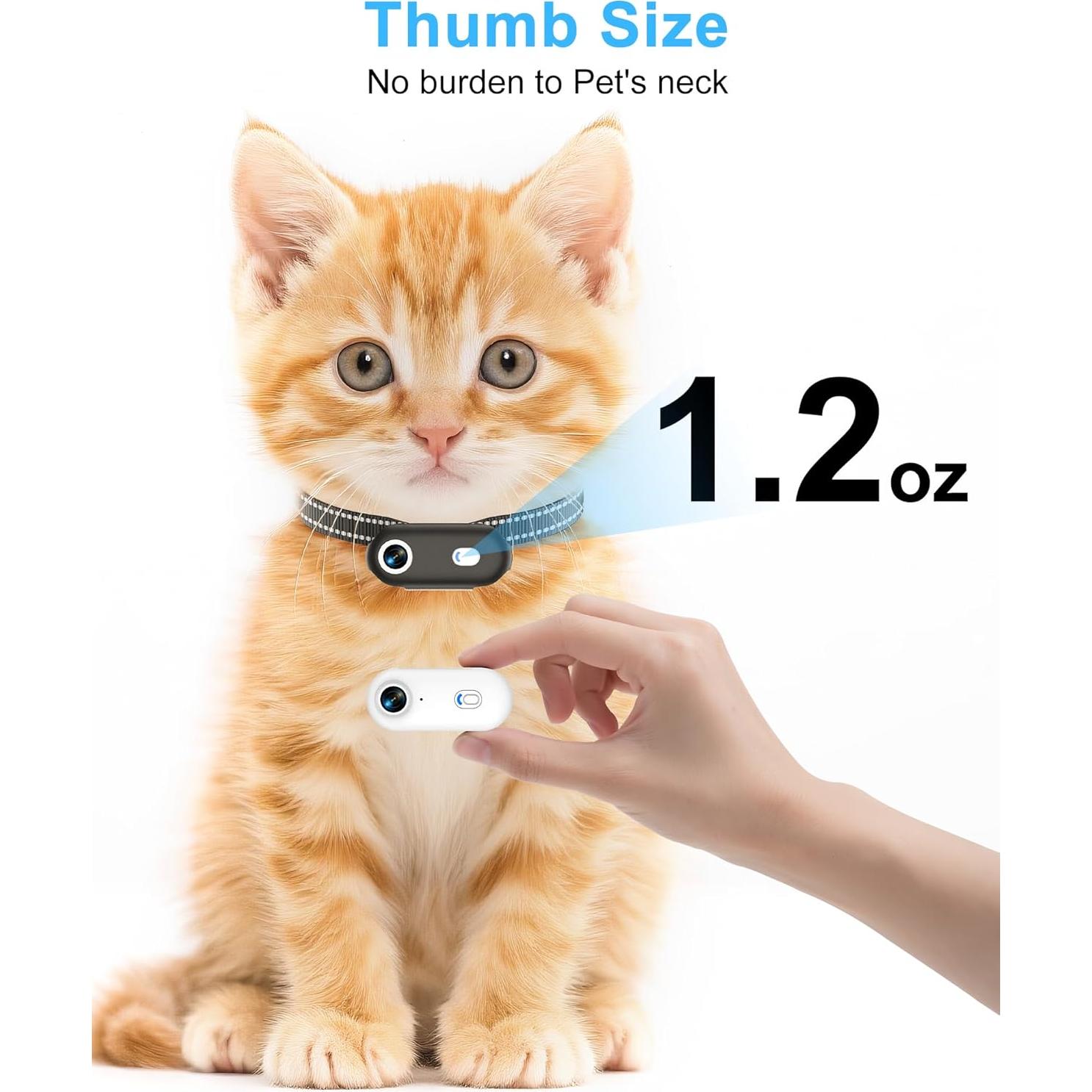 Collar de Cámara para Mascotas H88 - Grabación HD 1080P