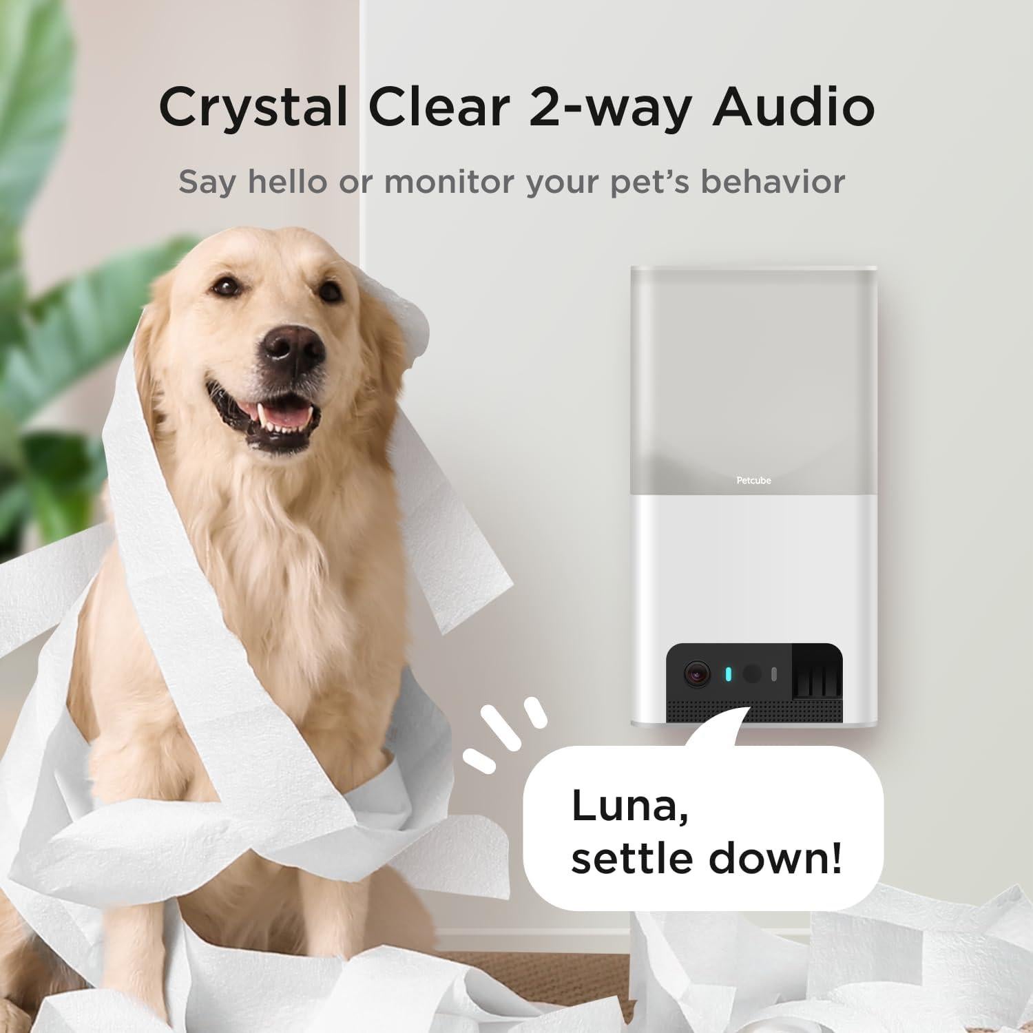 Cámara de Seguridad Interactiva Petcube Bites 2 Lite con GPS