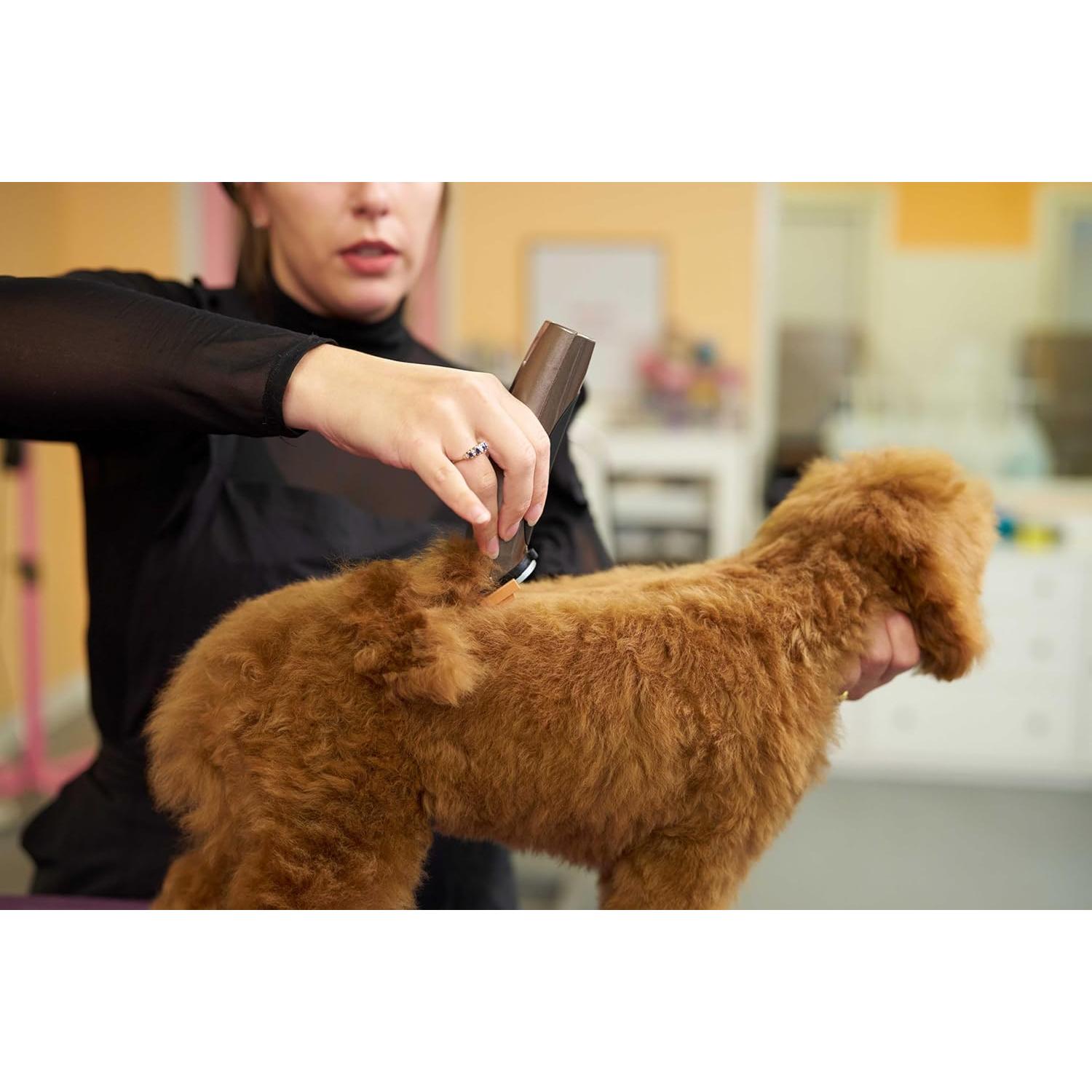 Cortadora de Pelo Profesional Wahl Bravura Ion Litio Mascotas