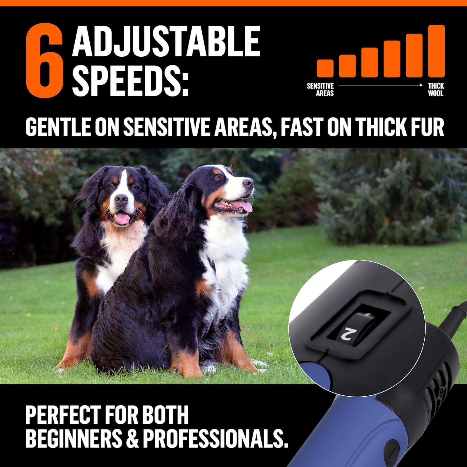 Cortadora de Pelo Profesional para Perros Grandes Pet Control HQ - 380W