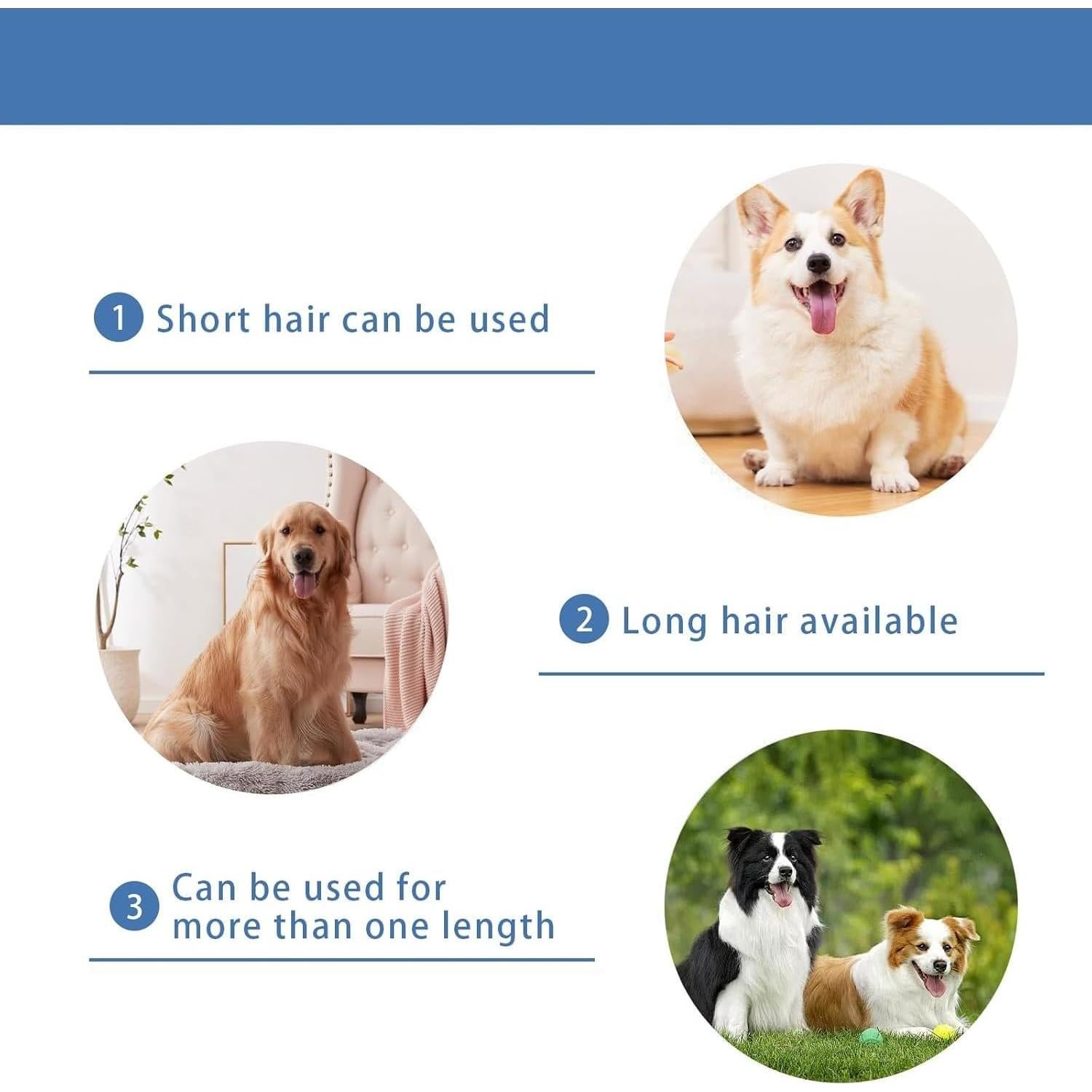 Cuchilla de Reemplazo nebot P1 Pro - Cerámica y Acero Inoxidable 0.5mm