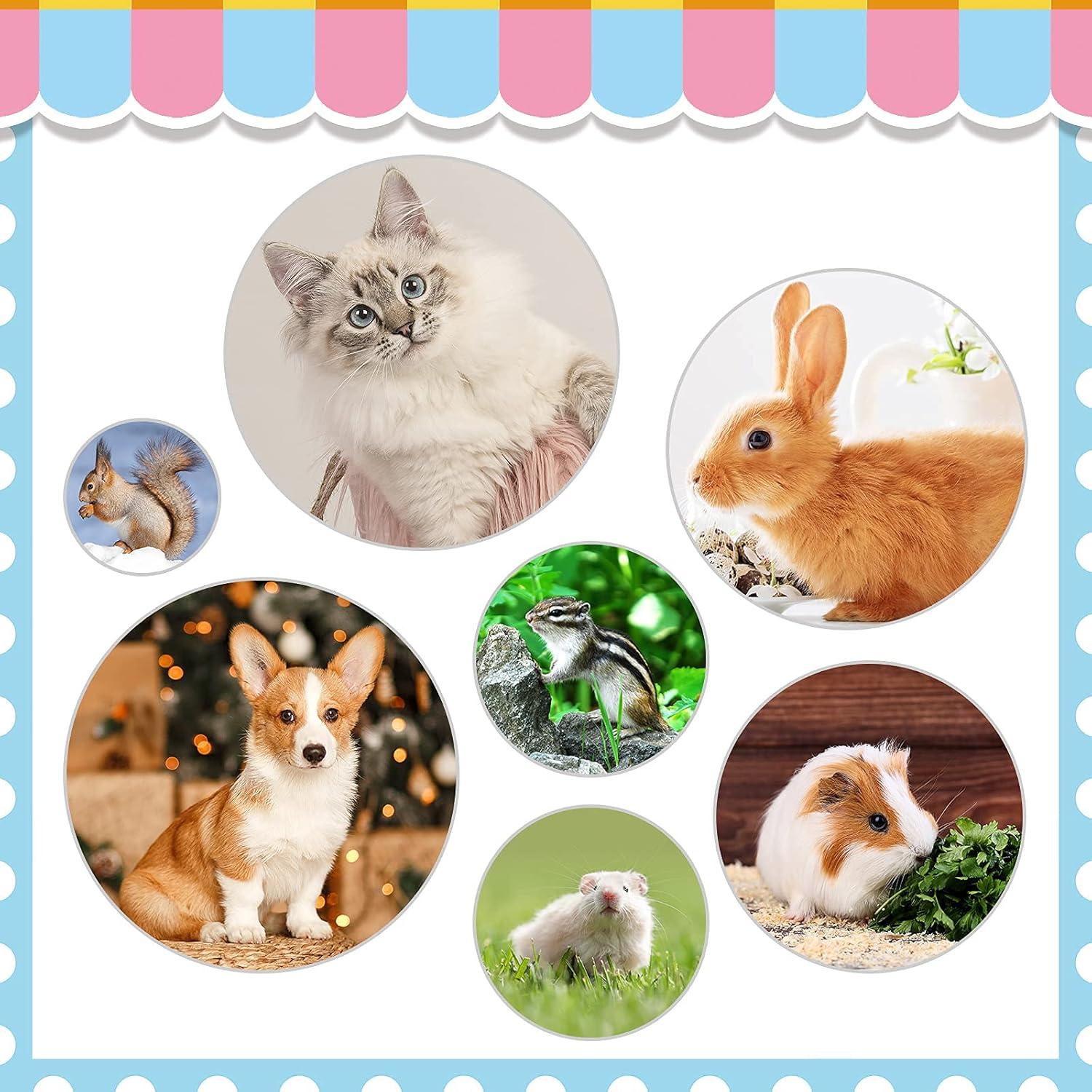 Kit de Aseo para Conejos KALAMANDA 6 en 1 con Cortauñas