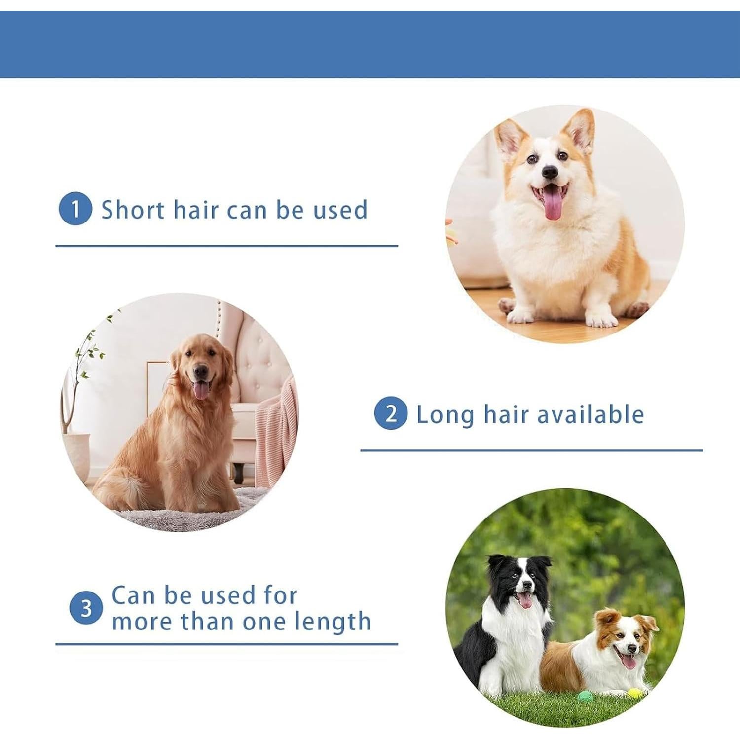 Cuchilla de Reemplazo Nebot P1 Pro 7F Cerámica Acero Inoxidable