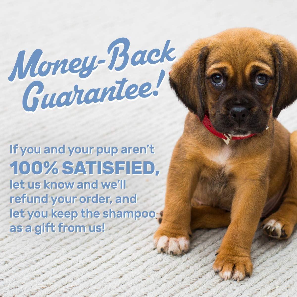 Champú para Perros Oliver's Choice 354.88 ml - Avena y Aloe