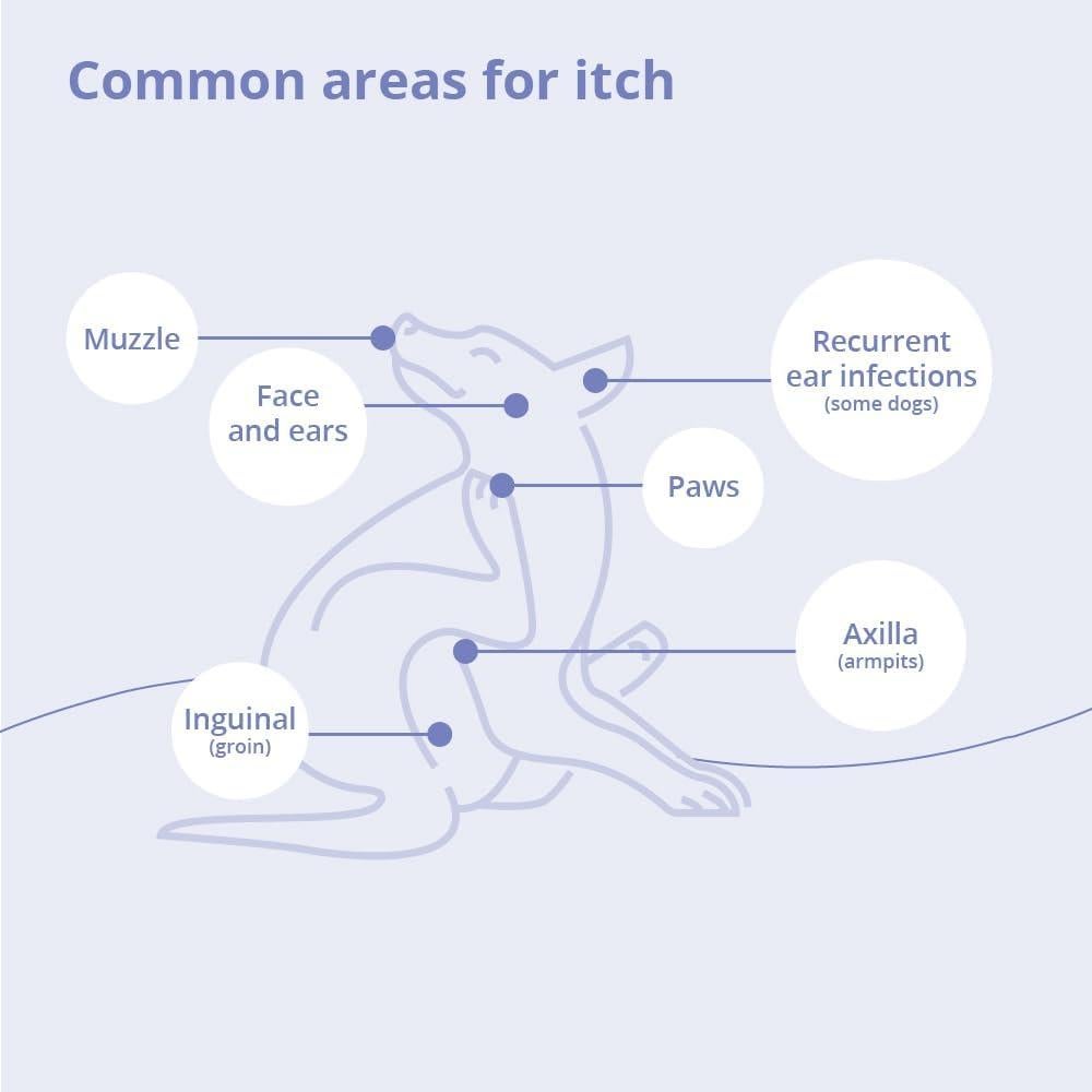 Champú Dechra MiconaHex+Triz 226g para Perros, Gatos y Caballos