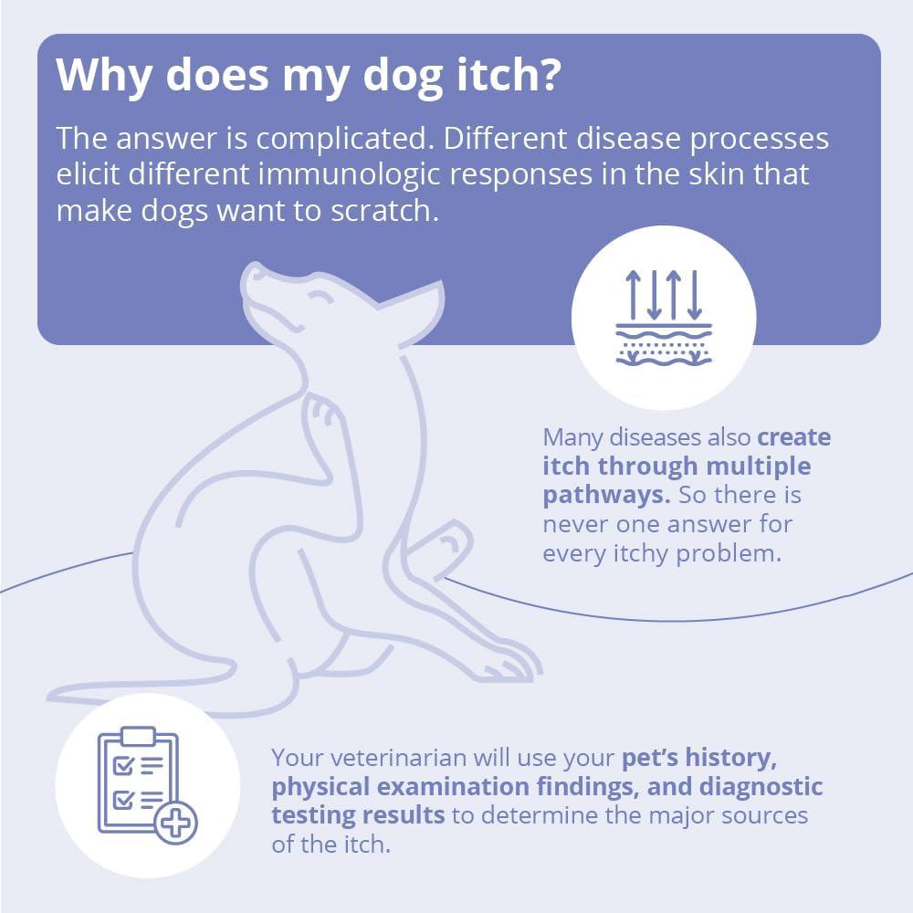 Champú Dechra MiconaHex+Triz 226g para Perros, Gatos y Caballos