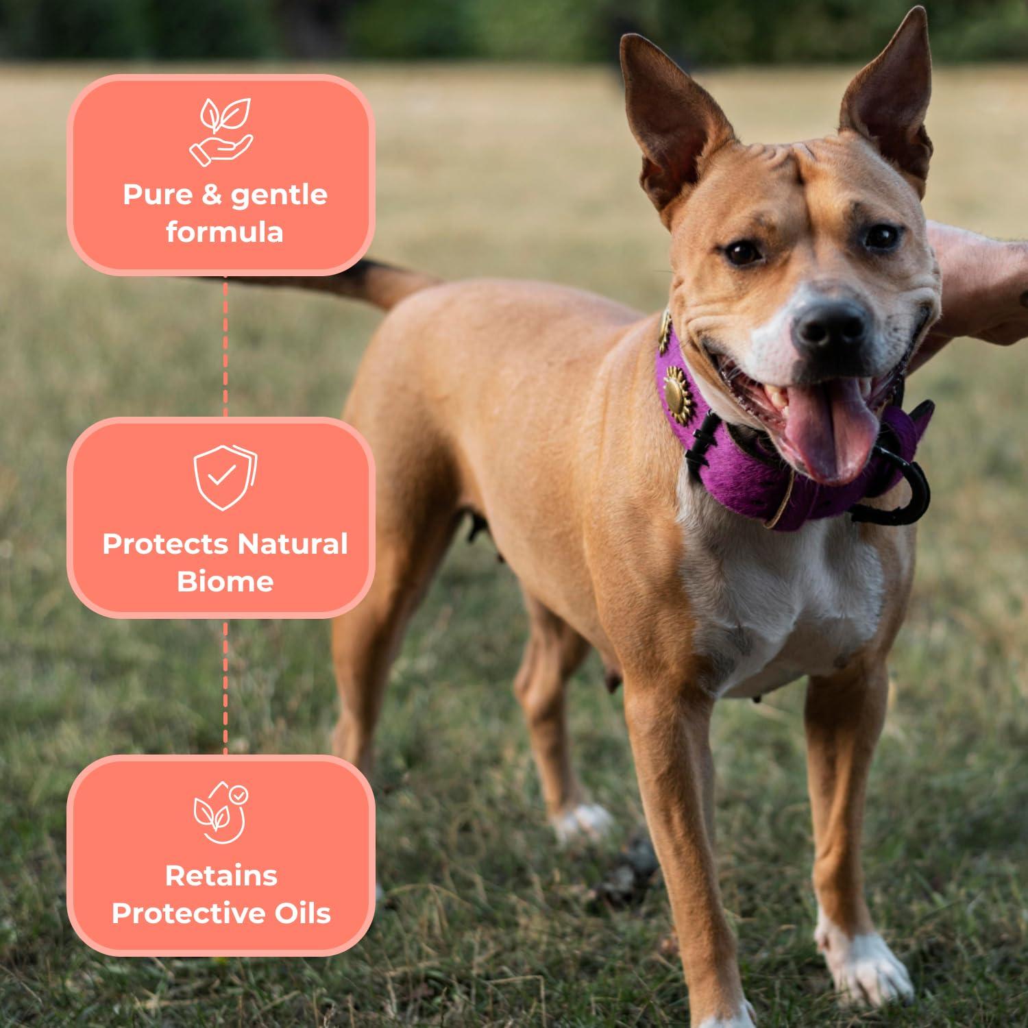 Champú Hipoalergénico para Perros Coat Defense 226.8g