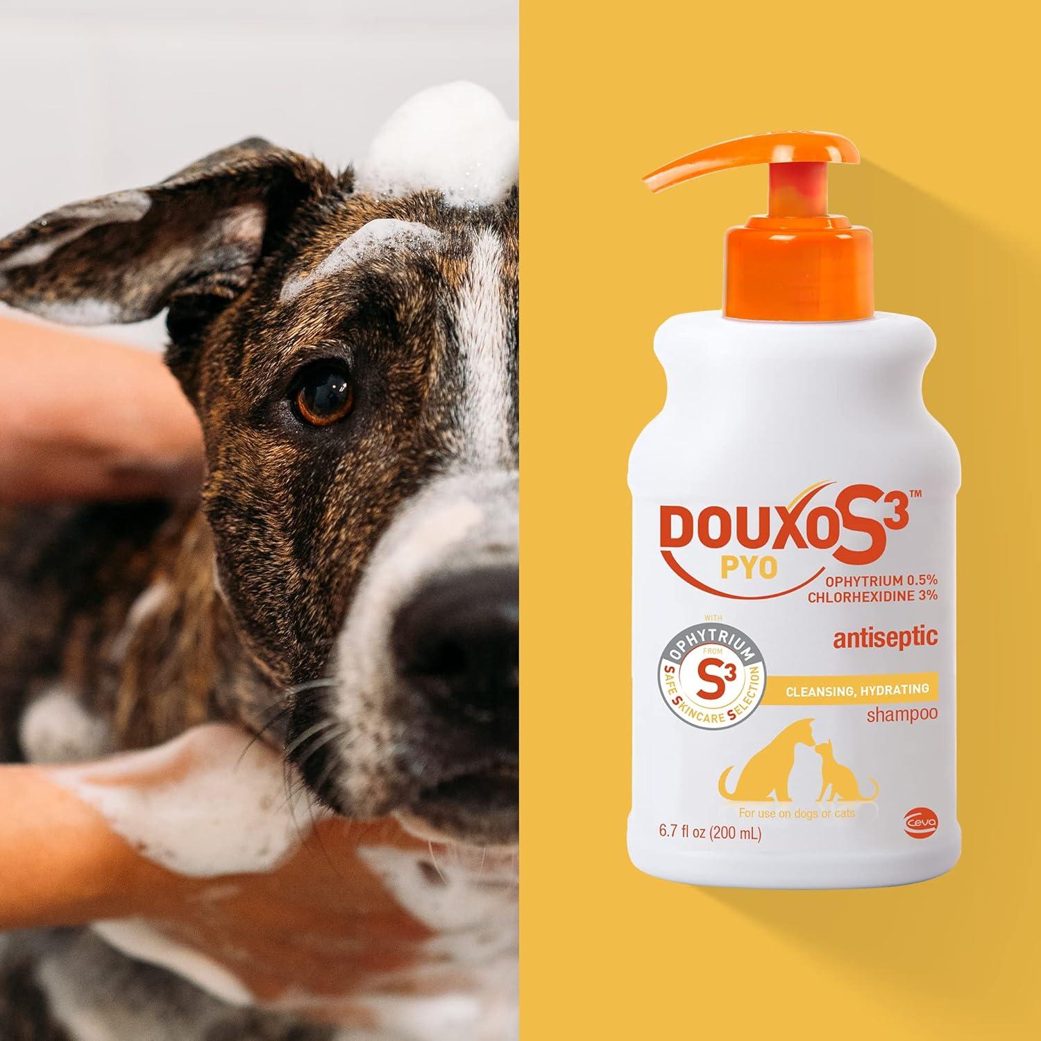 Champú Douxo S3 Pyo 200 mL - Antiséptico para Perros y Gatos