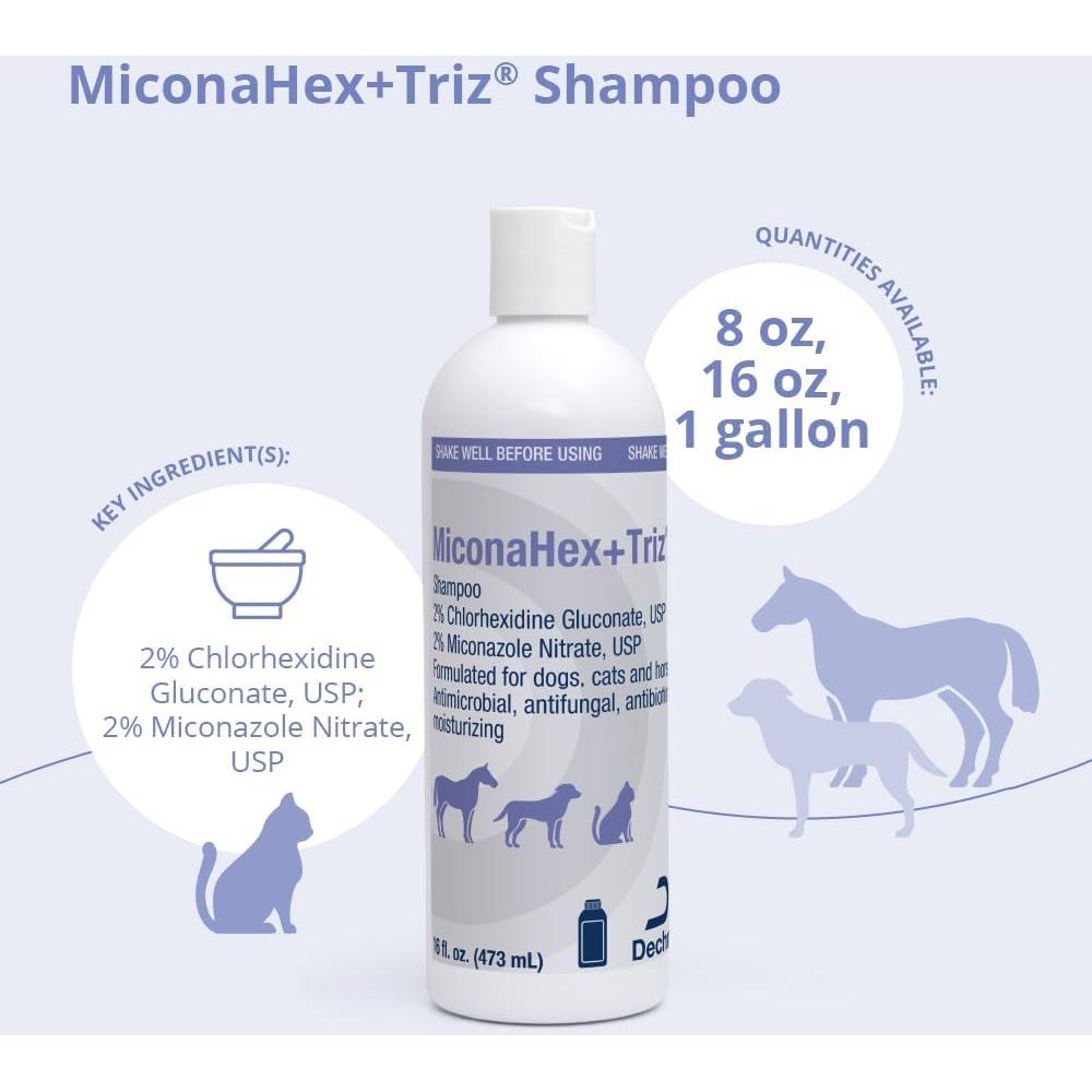 Champú Veterinario Dechra 473 ml para Perros, Gatos y Caballos