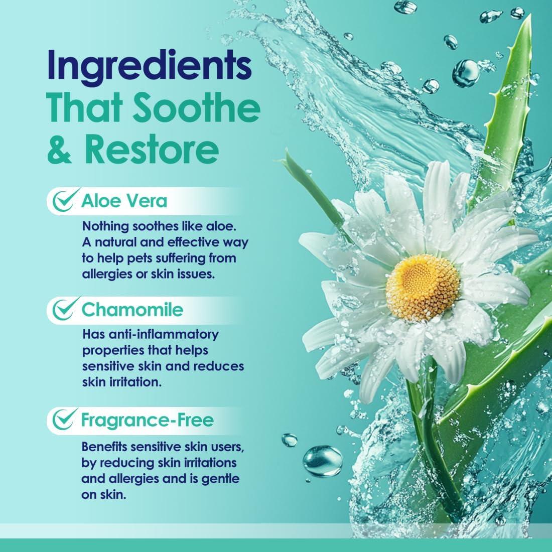 Champú y Acondicionador 2-en-1 NuLife con Aloe Vera 453g