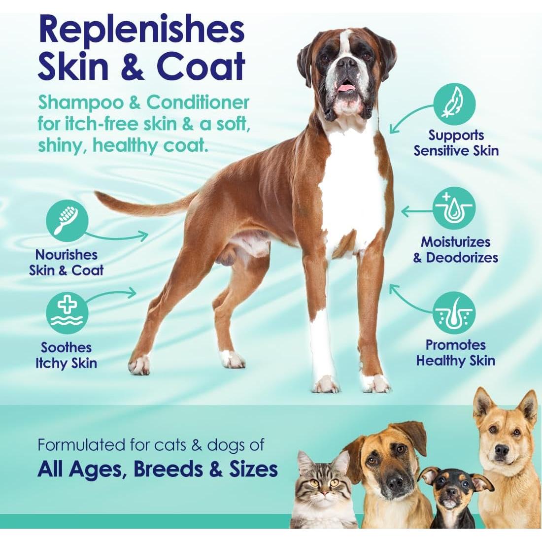 Champú y Acondicionador 2-en-1 NuLife con Aloe Vera 453g