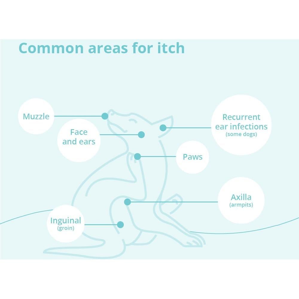 Champú DermaBenS para Perros, Gatos y Caballos 340g