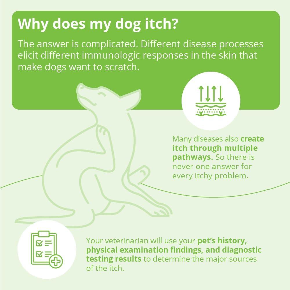 Champú de Avena Dechra 340g - Sin Jabón para Mascotas