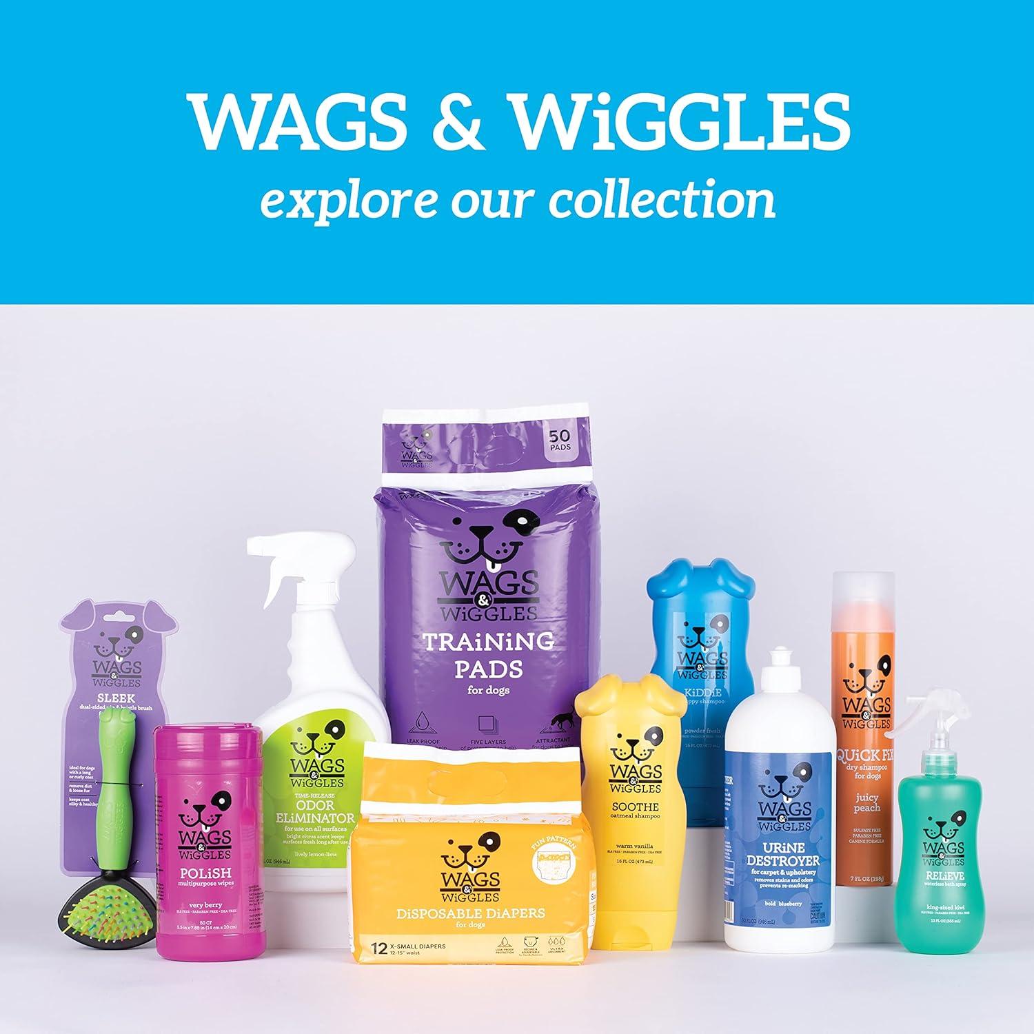 Wags & Wiggles Freshen Deodorizing Dog Shampoo in Very Berry Scent - Odor Control Dog Grooming Shampoo for Smelly Dogs, 16 Fl Oz