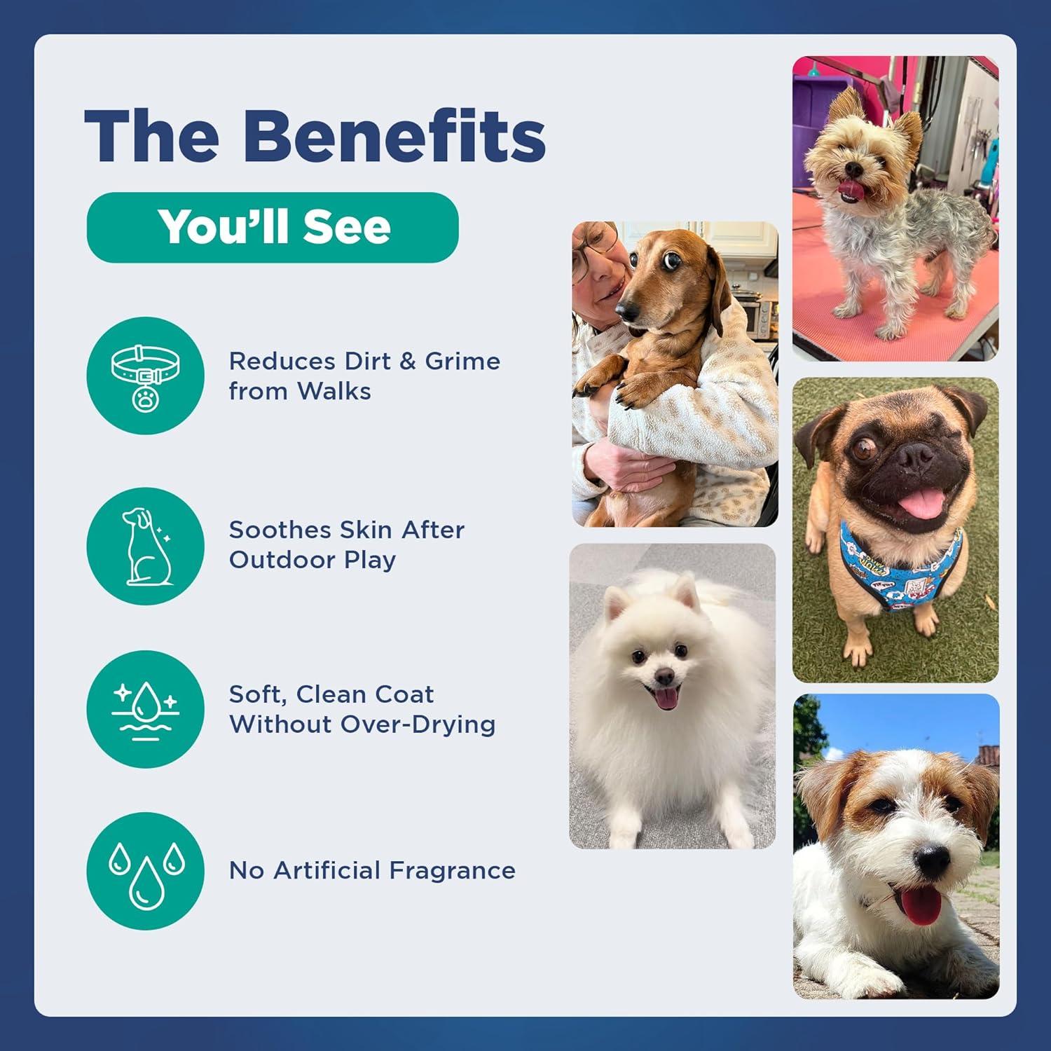 Champú Hipoalergénico Pawfect 500ml para Perros - Alivio Pulgas y Garrapatas