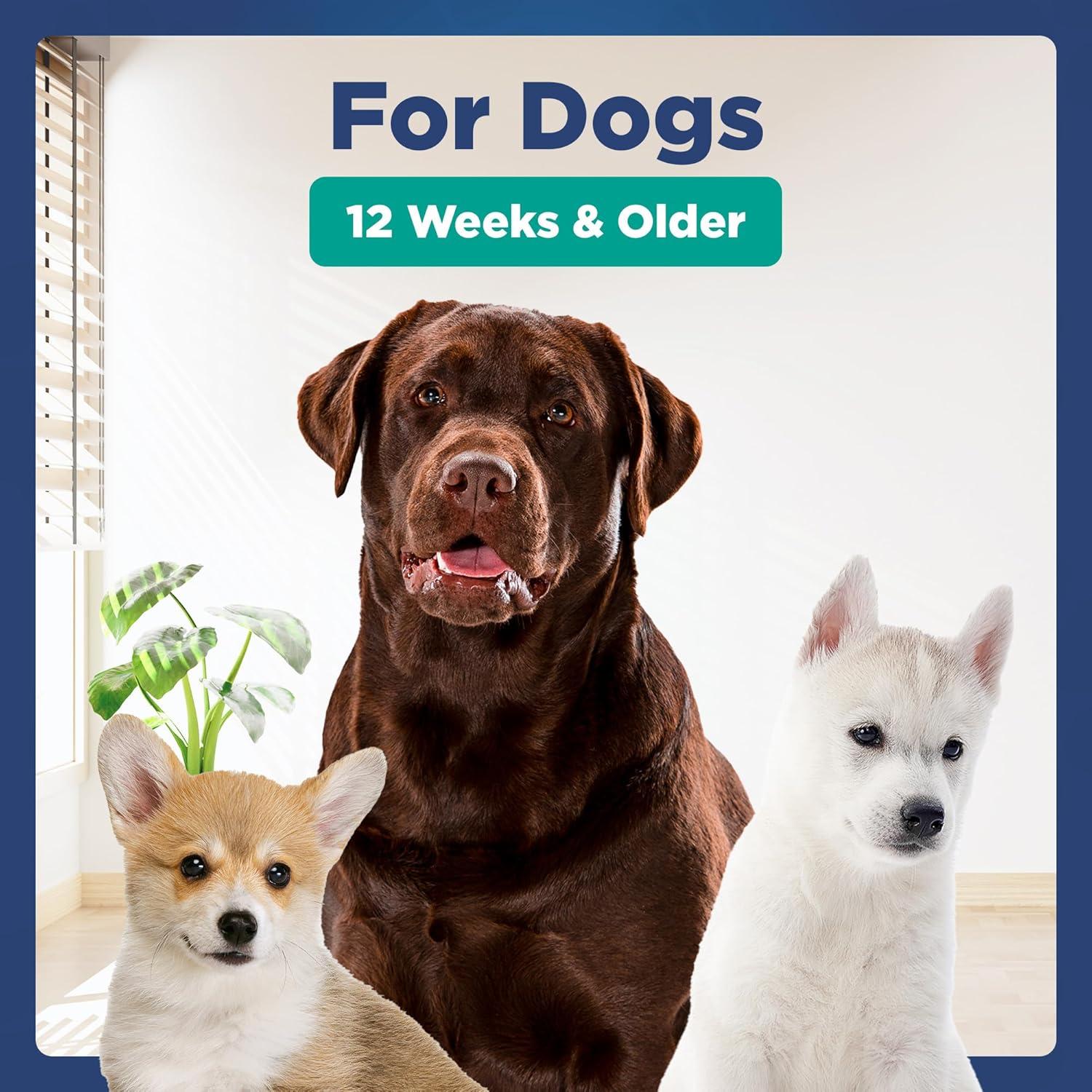 Champú Hipoalergénico Pawfect 500ml para Perros - Alivio Pulgas y Garrapatas