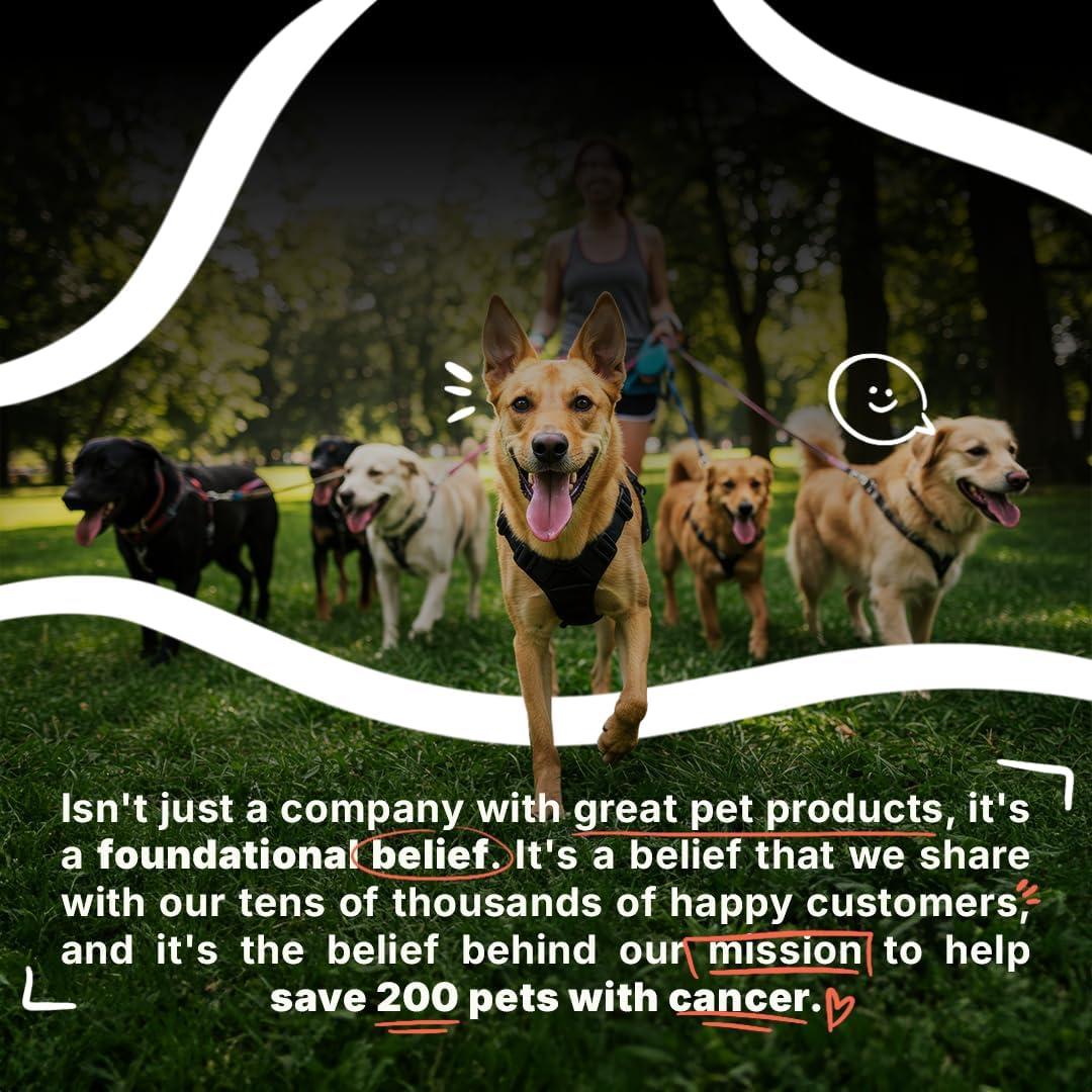 Champú Hipoalergénico para Perros y Gatos Los Mascotas Son Niños 500ml