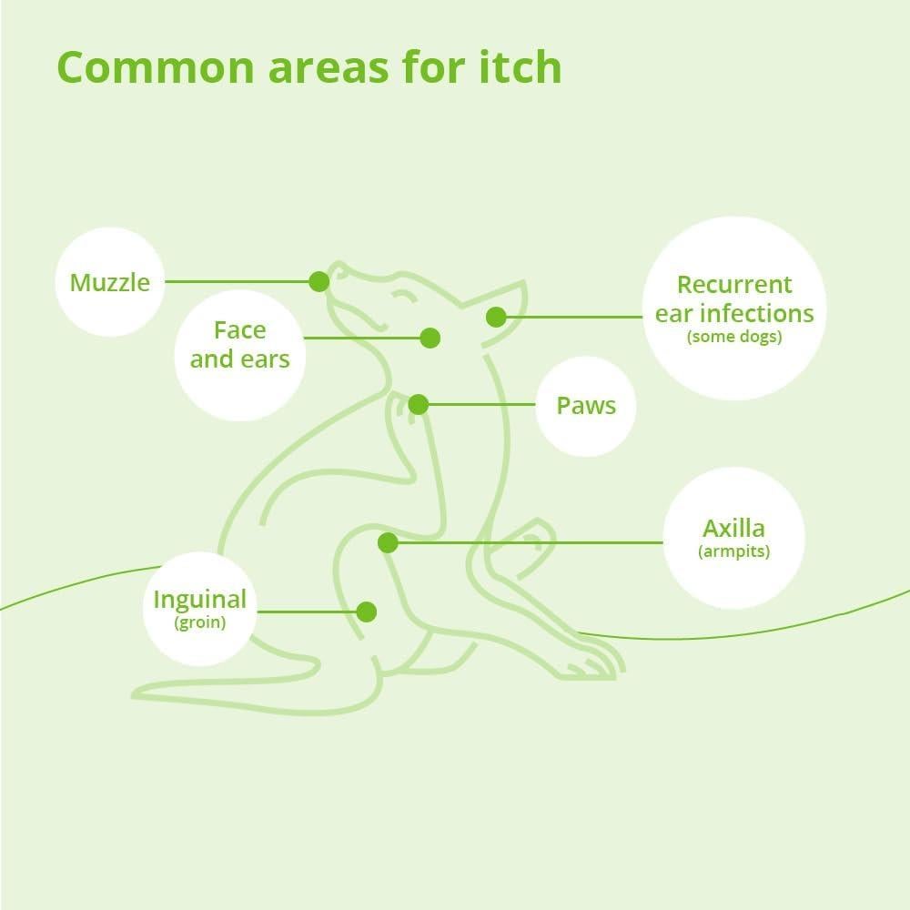Shampoo Hidratante DermaLyte Dechra 340g - Hipoalergénico