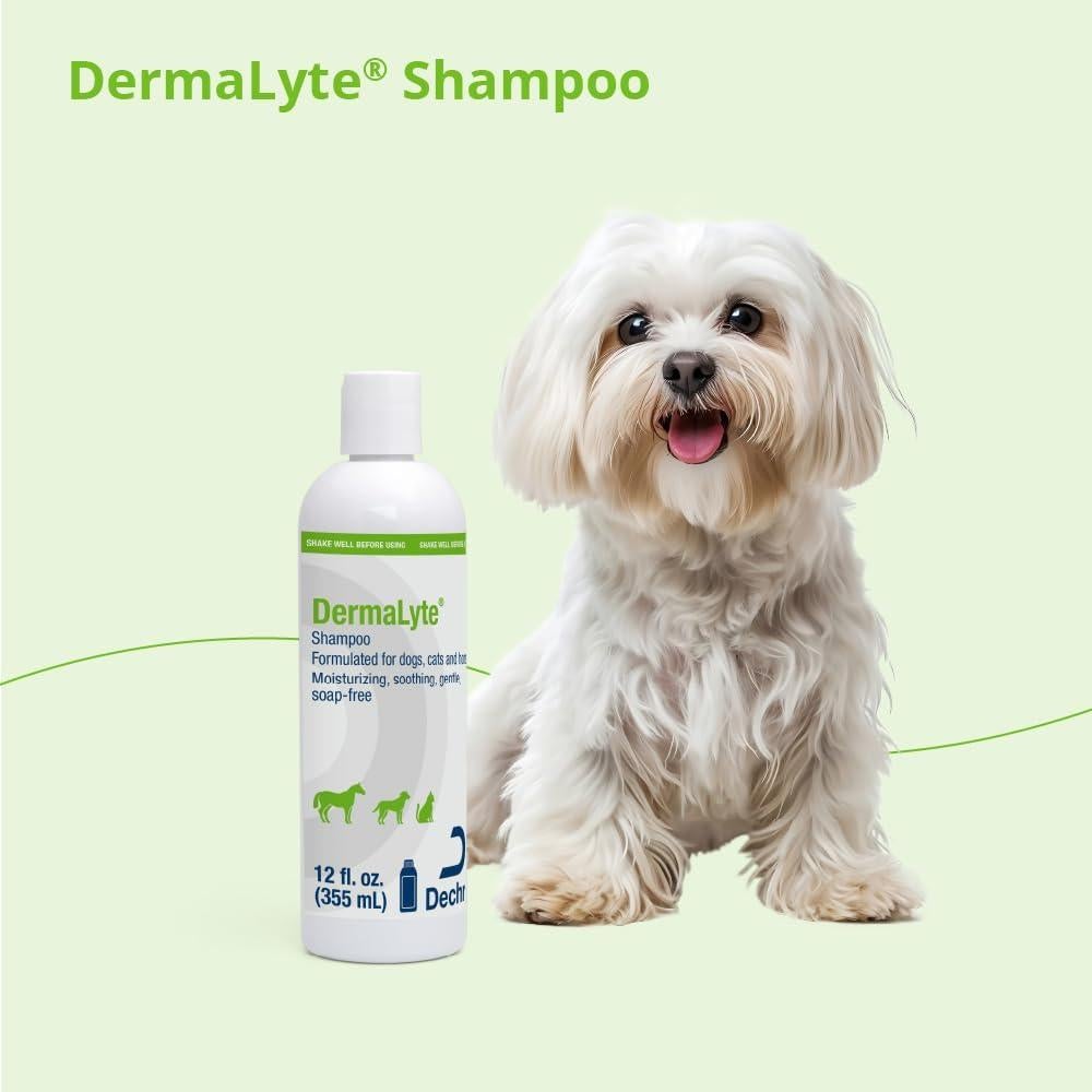 Shampoo Hidratante DermaLyte Dechra 340g - Hipoalergénico