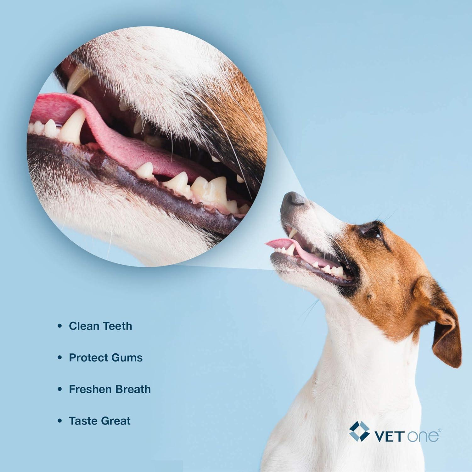 Masticables Dentales VetOne DuoClenz para Perros Grandes - 30 Unidades