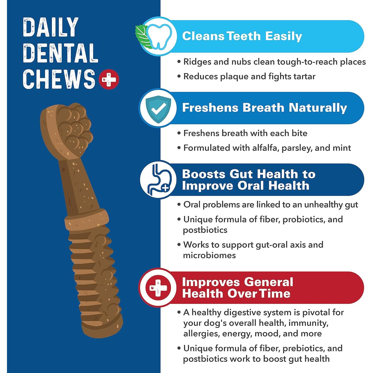 Mordedores Dentales para Perros Grandes Bernie - 24 Unidades