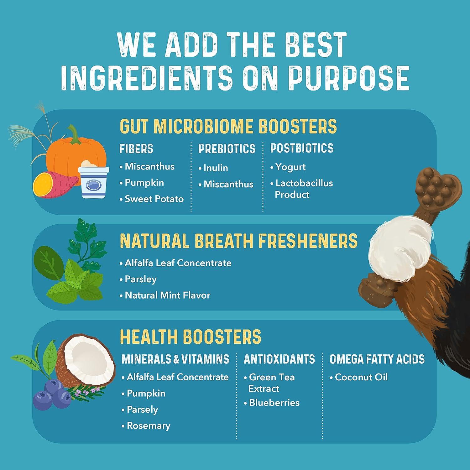 Mordedores Dentales para Perros Grandes Bernie - 24 Unidades