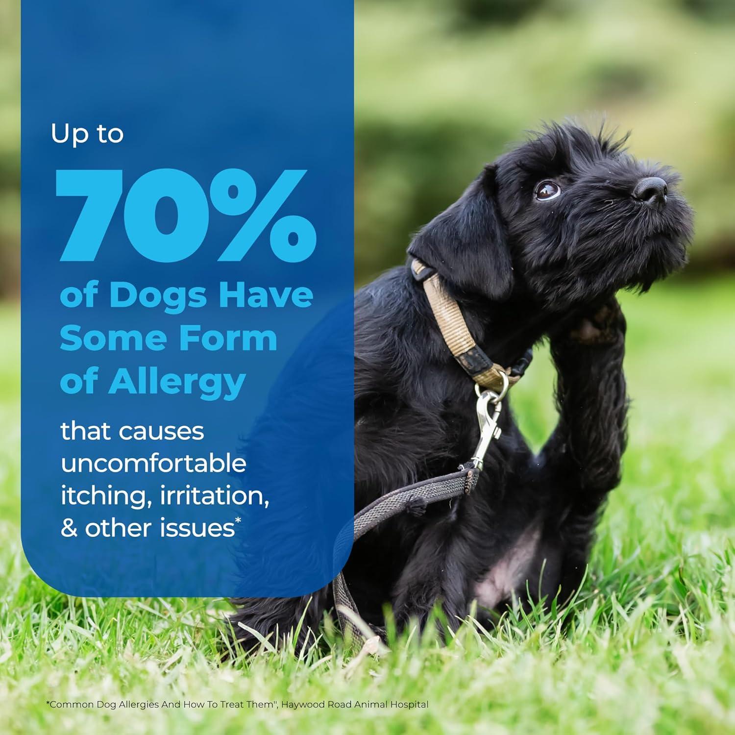 Champú Anti Picazón para Perros Vetnique Labs Dermabliss 473ml