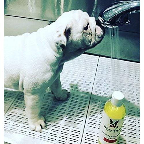 Champú para Perros Warren London Avena 482.8 g - Alivio Piel Sensible