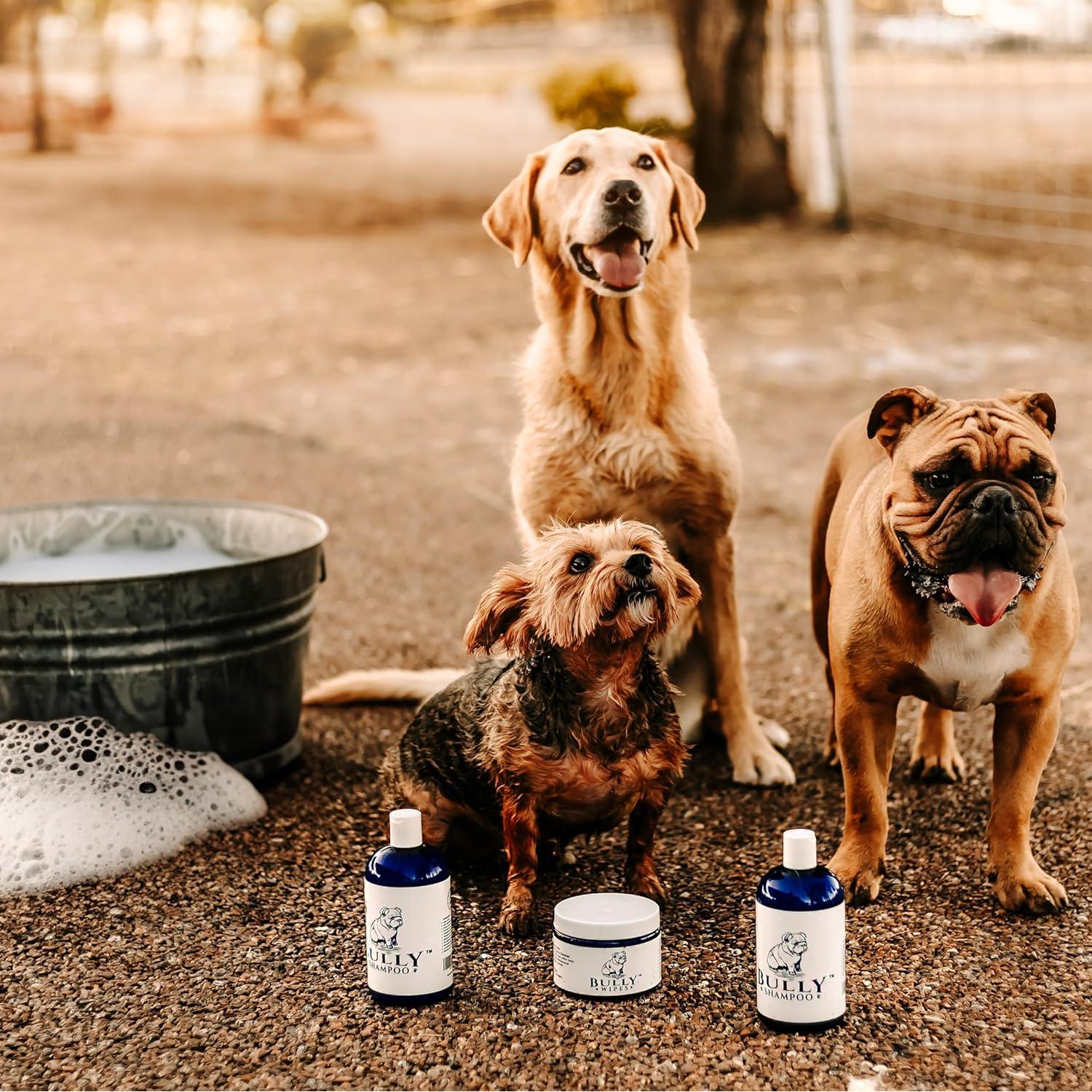 Champú Bully The Bully Company 500ml Orgánico para Bulldogs