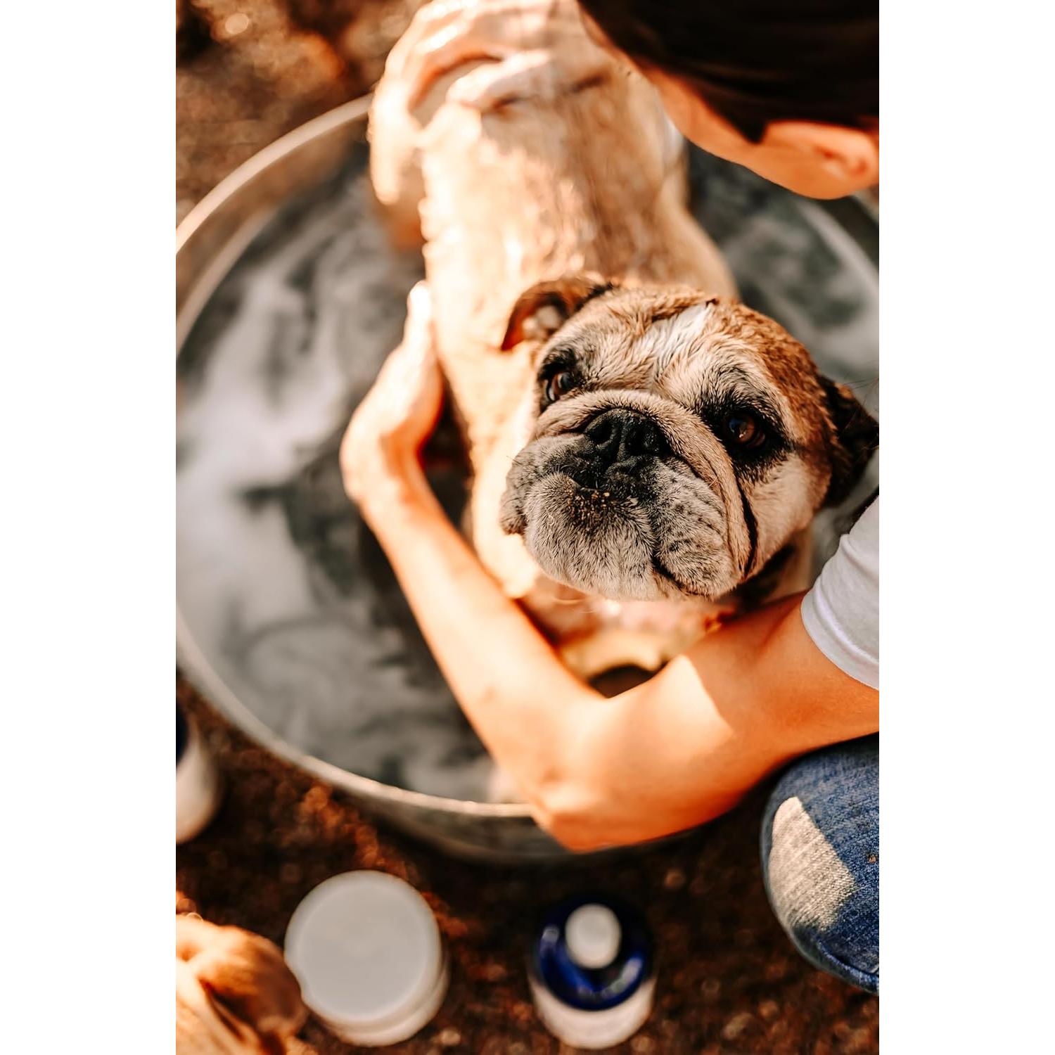 Champú Bully The Bully Company 500ml Orgánico para Bulldogs