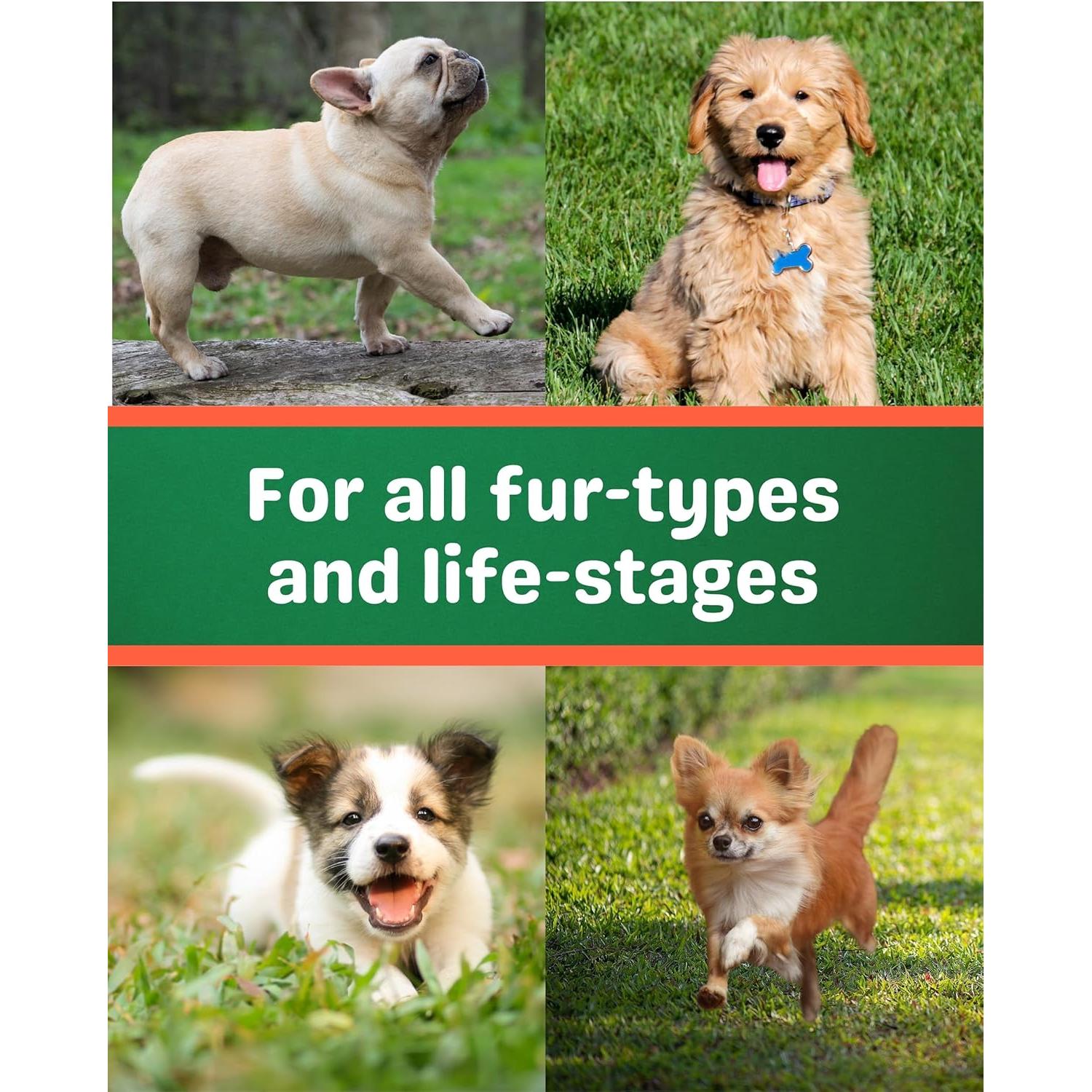 Champú Seco para Perros Pet MasterMind - Sin Agua, Sin Fragancia, Hidratante