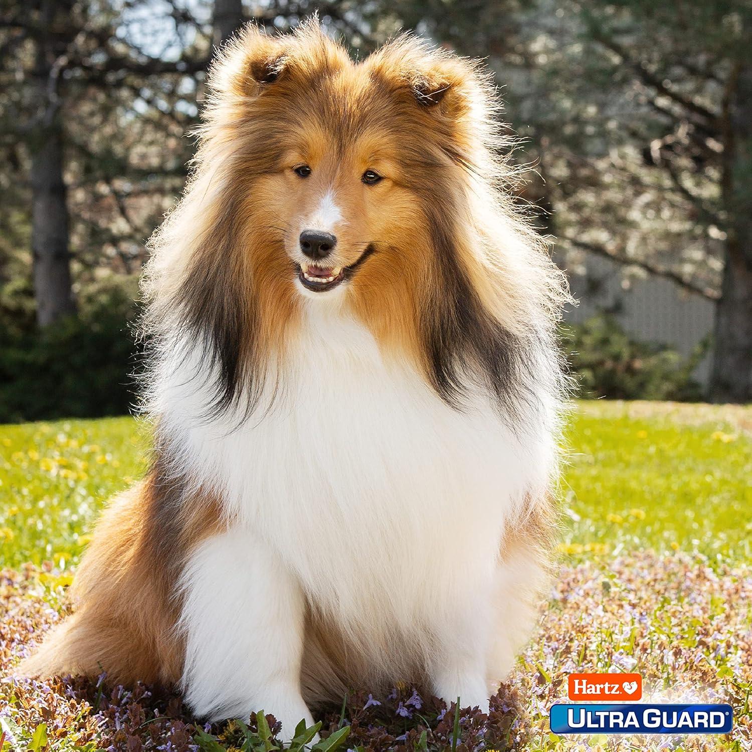 Champú para perros Hartz UltraGuard Rid 532 ml contra pulgas