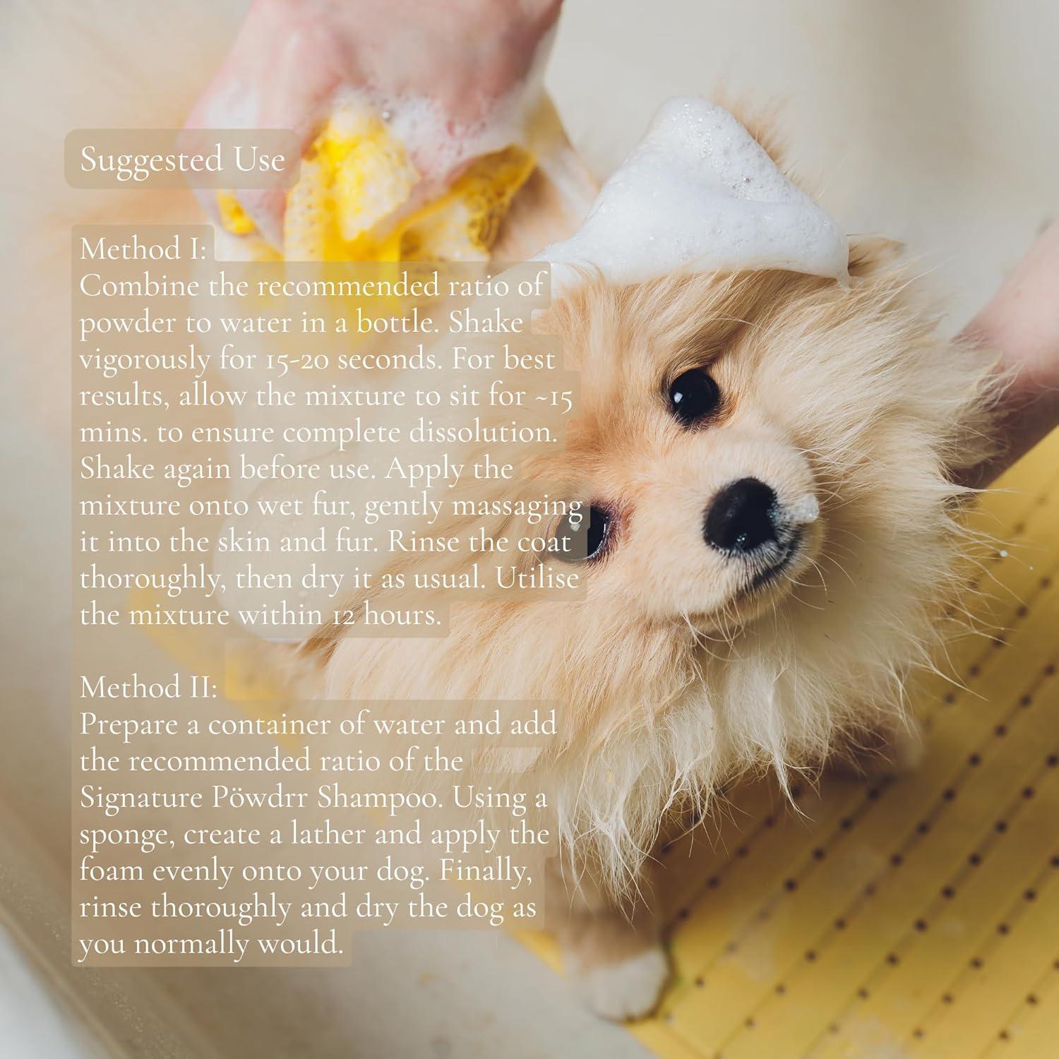 Champú Seco para Perros Paws Botanic 99.22 g Sin Fragancia