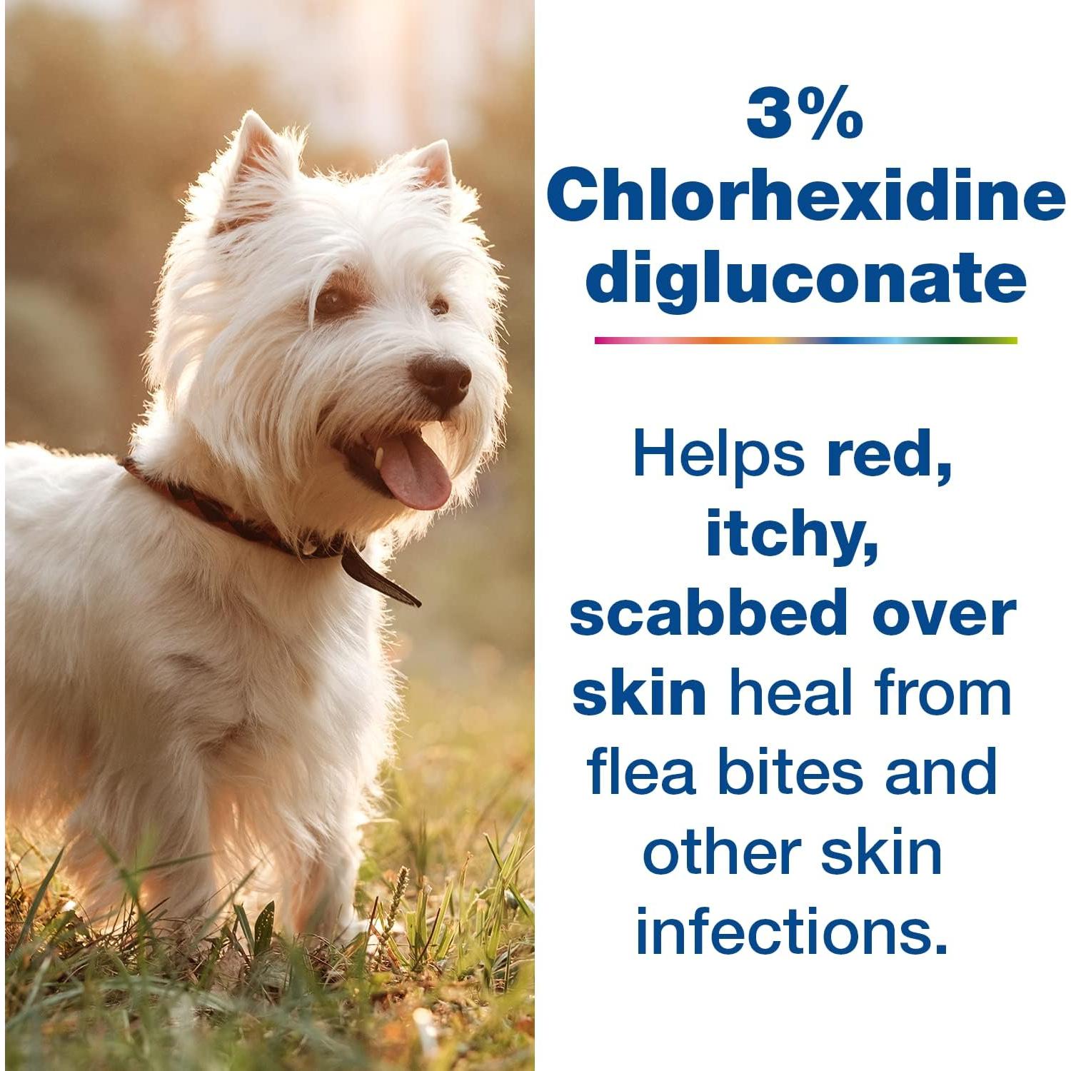 Douxo S3 Pyo Mousse 150ml - Antiséptico e Hidratante para Perros