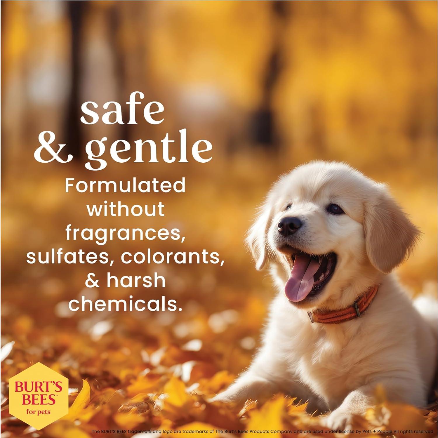 Champú para Cachorros Sin Llorar Burt's Bees 946 ml Natural
