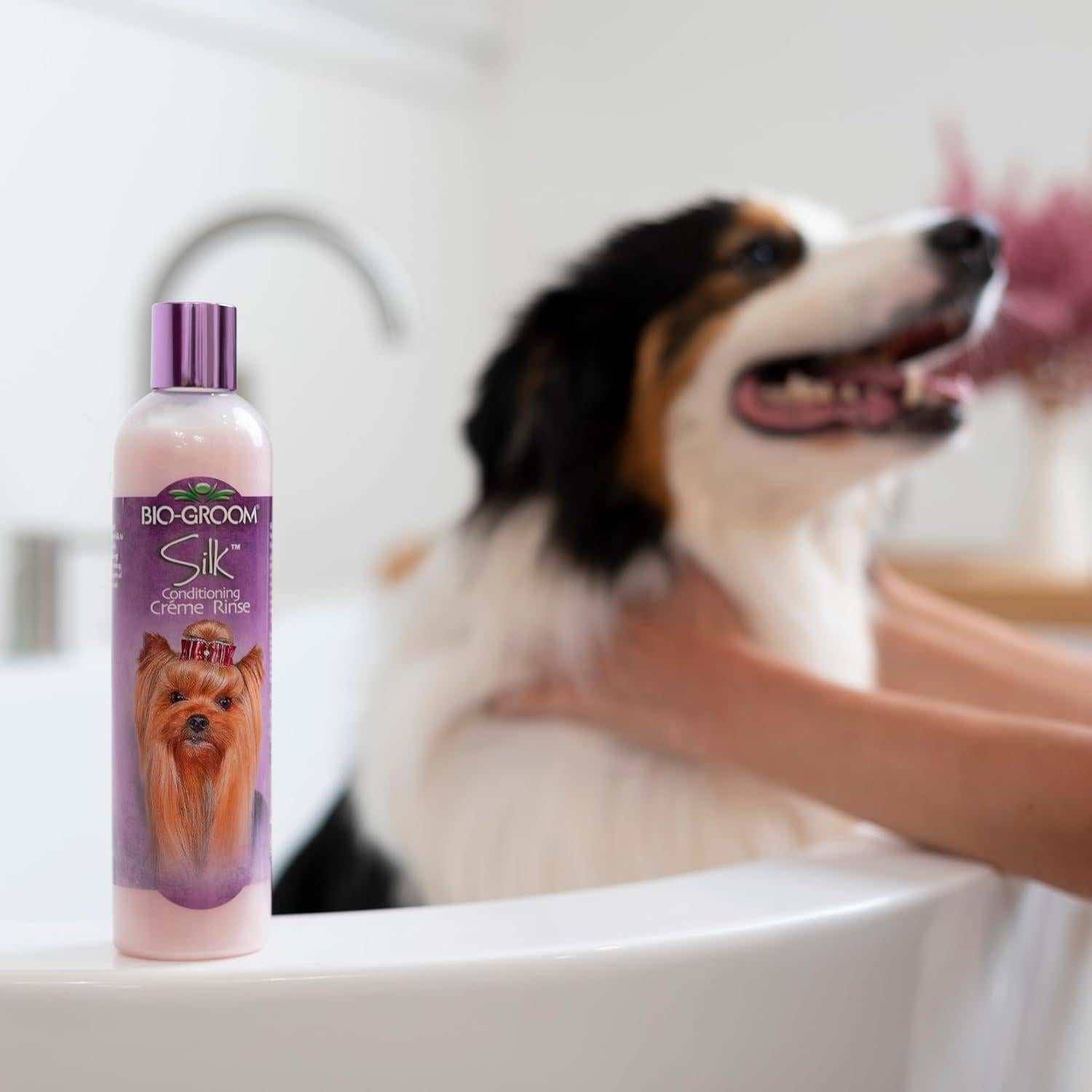 Conjunto Champú y Acondicionador Bio-Groom para Perros 355ml