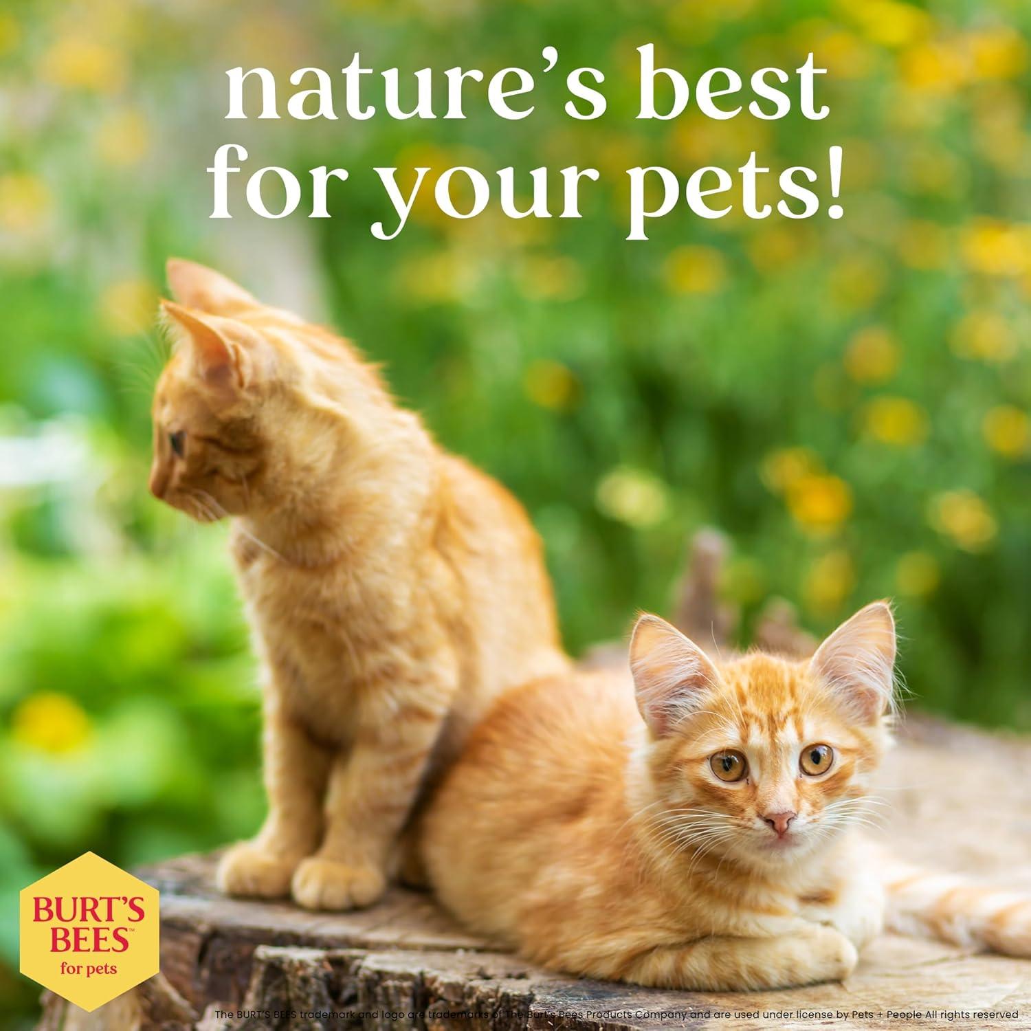 Champú Hipoalergénico para Gatos Burt's Bees 295 ml - Suave y Natural