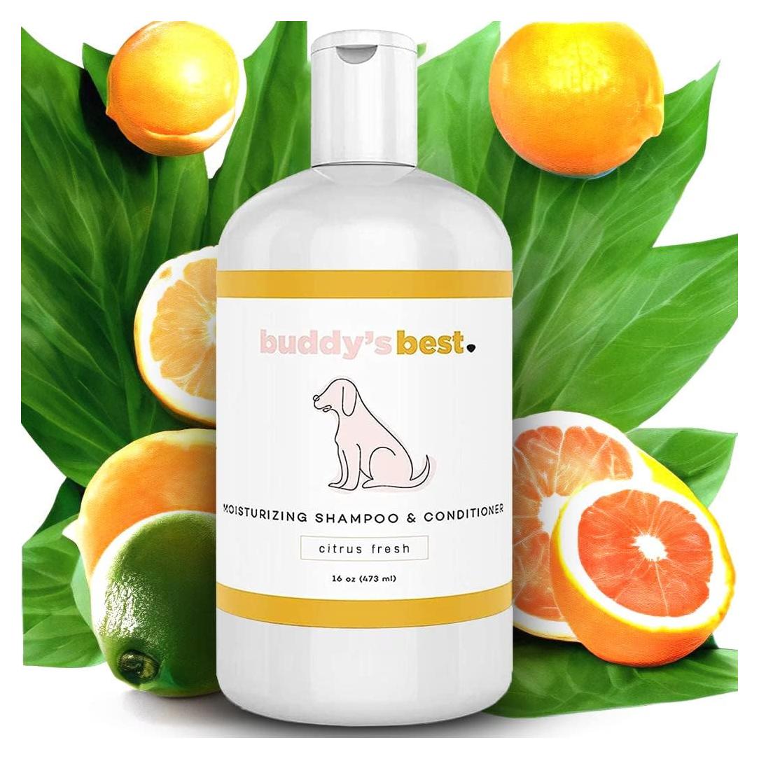 Champú y Acondicionador Buddy's Best para Perros 473ml - Avena