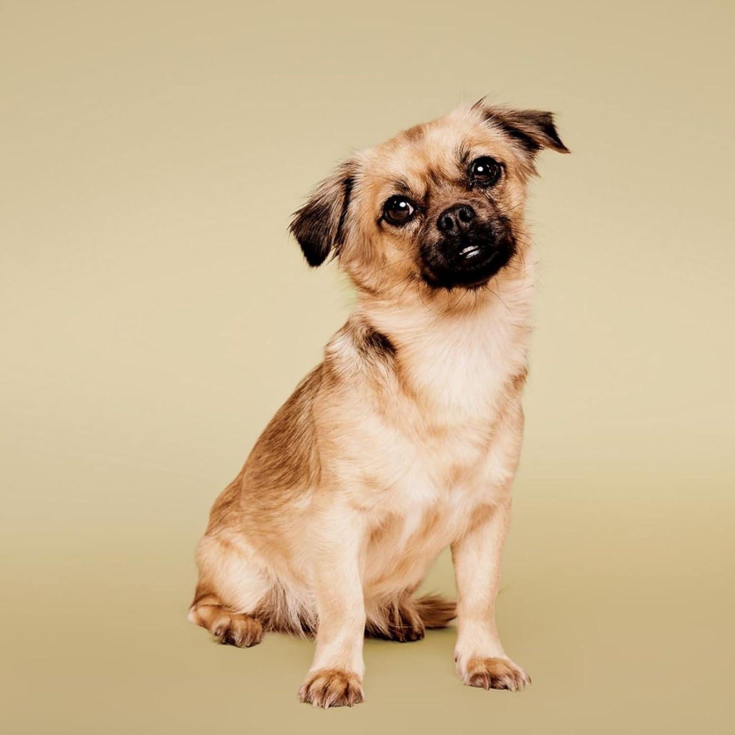 Acondicionador Calmante de Avena Paul Mitchell 500 ml