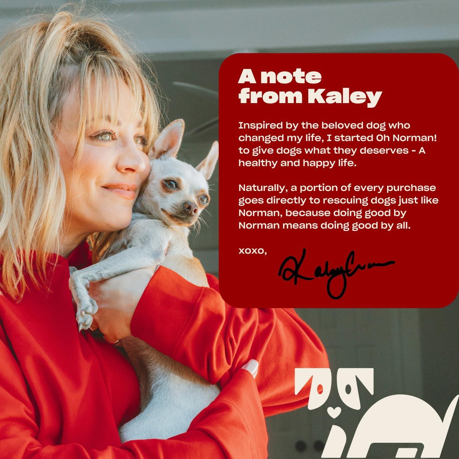 Champú Seco Hipoalergénico para Perros Oh Norman! 210 ml