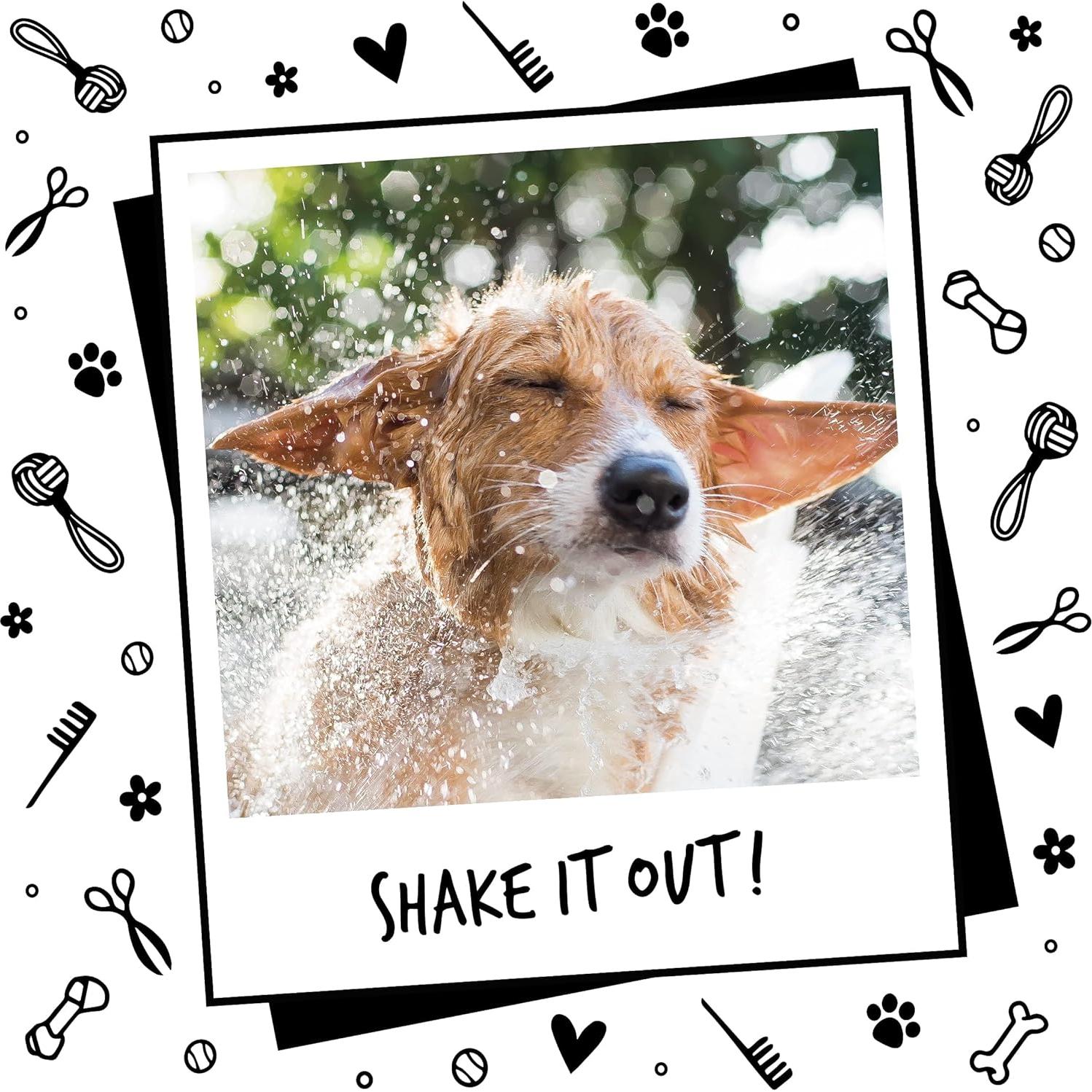 Champú y Acondicionador 2 en 1 Bugalugs 500 ml Papaya y Coco