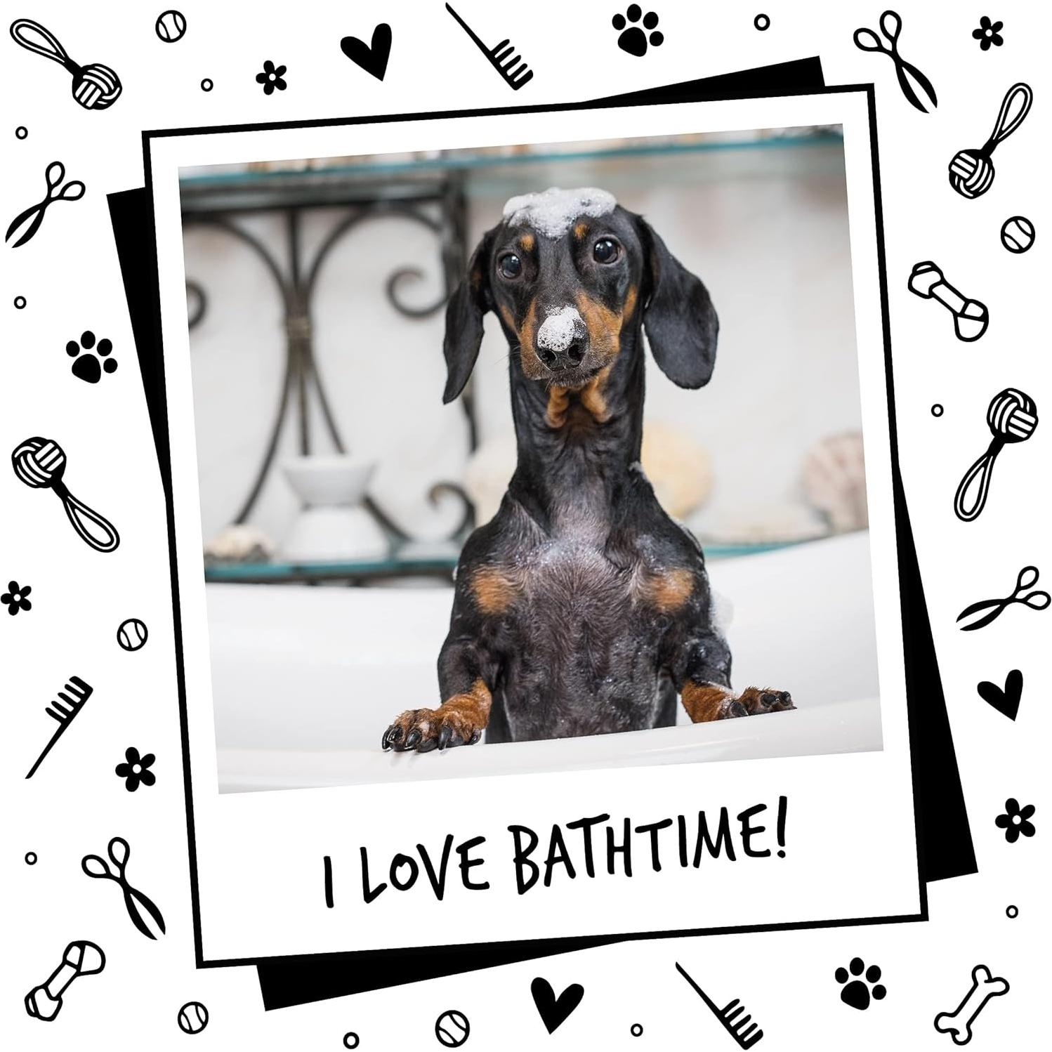 Champú y Acondicionador 2 en 1 Bugalugs 500 ml Papaya y Coco