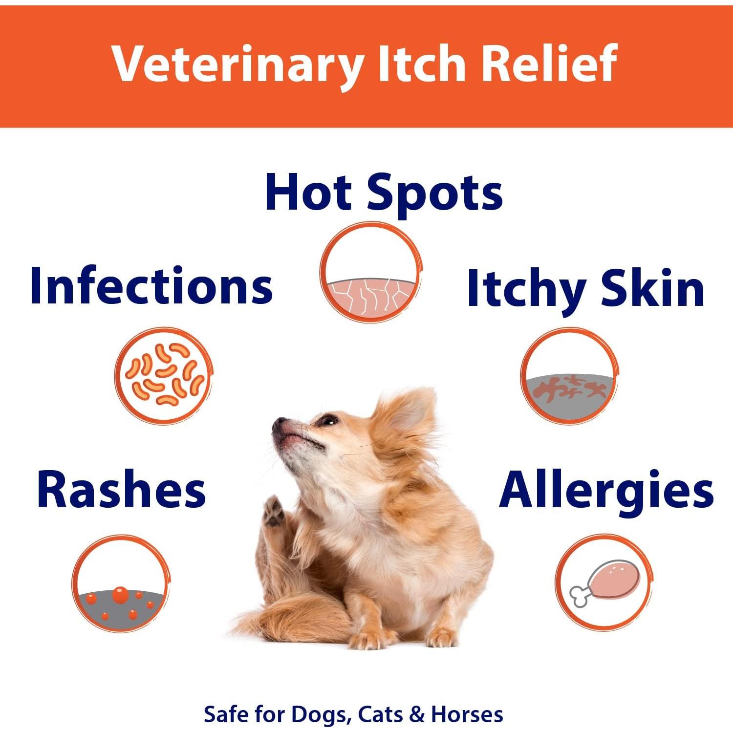 Champú Medicado Curaseb 4% para Perros y Gatos 226g