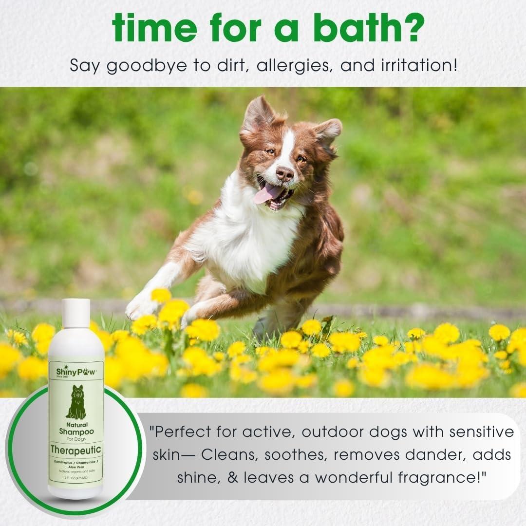 Champú Hipoalergénico para Perros Shiny Paw 567 g Eucalipto