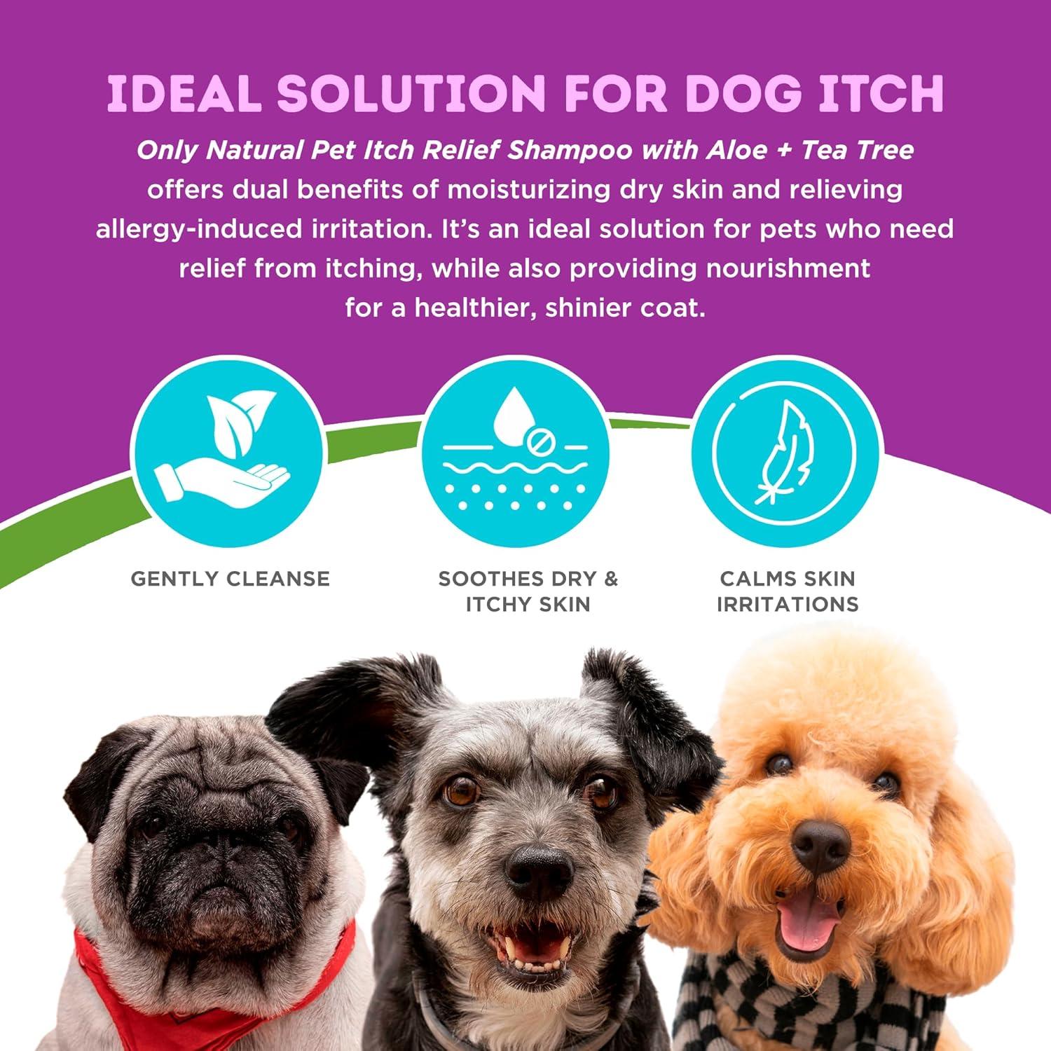 Champú Alivio Picazón Only Natural Pet 478 g Aloe Árbol Té