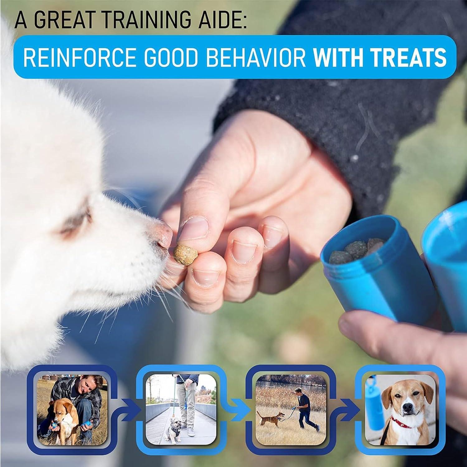 Soporte 2 en 1 para bolsas de excremento de perro DREAM&GLAMOUR