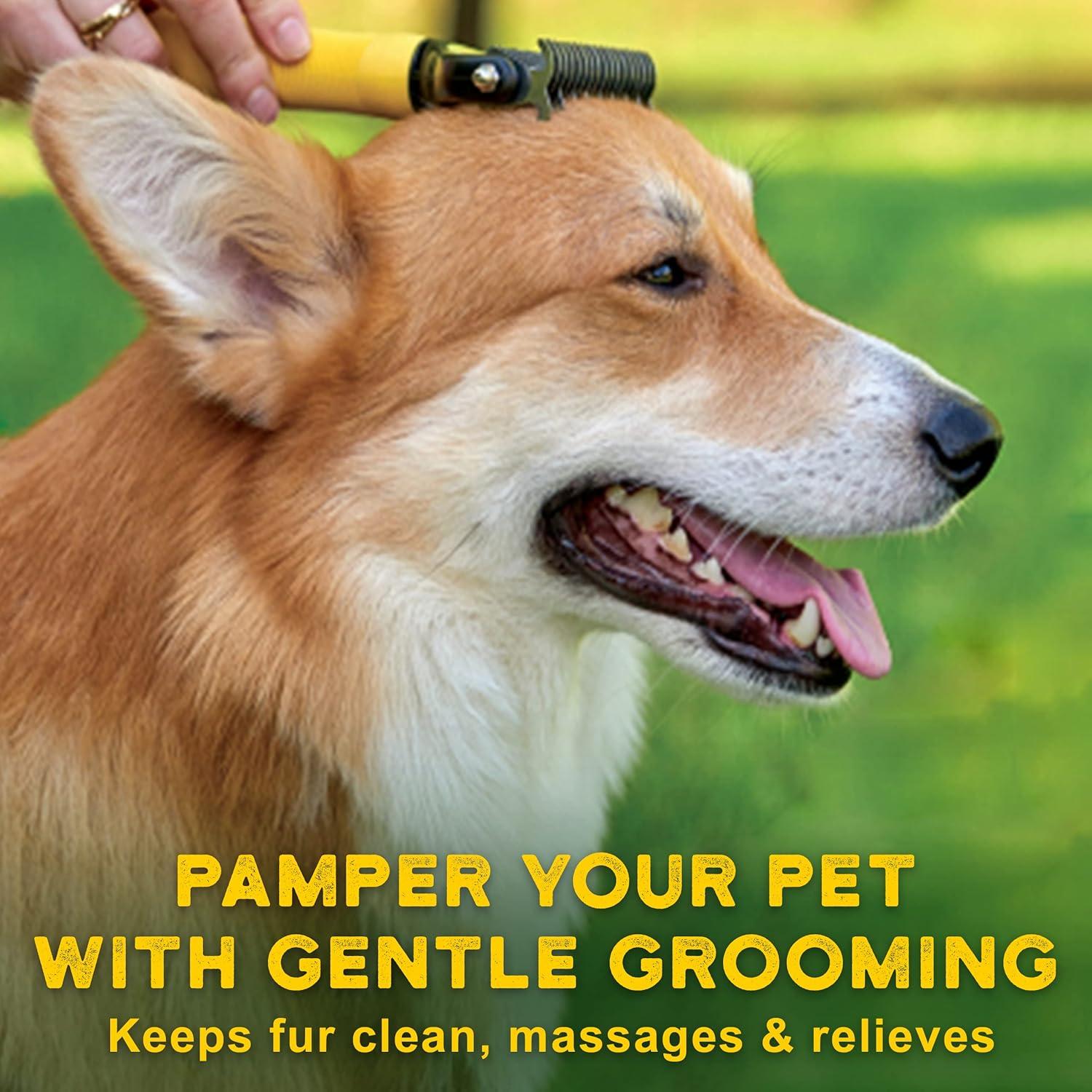 Cepillo Deshedding Pawradise Doble Cara para Perros y Gatos